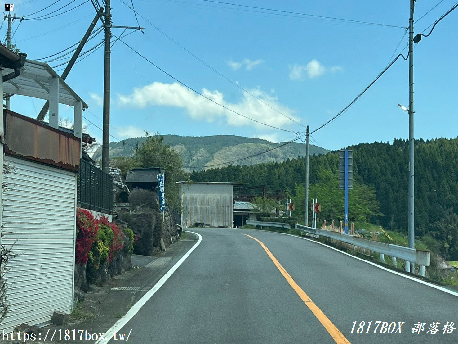 尋寶大分秘境!九重町「經典龍貓與白龍」苔蘚壁畫:探訪逐漸消失的期間限定大自然藝術 尋寶大分秘境!九重町「經典龍貓與白龍」苔蘚壁畫:探訪逐漸消失的期間限定大自然藝術