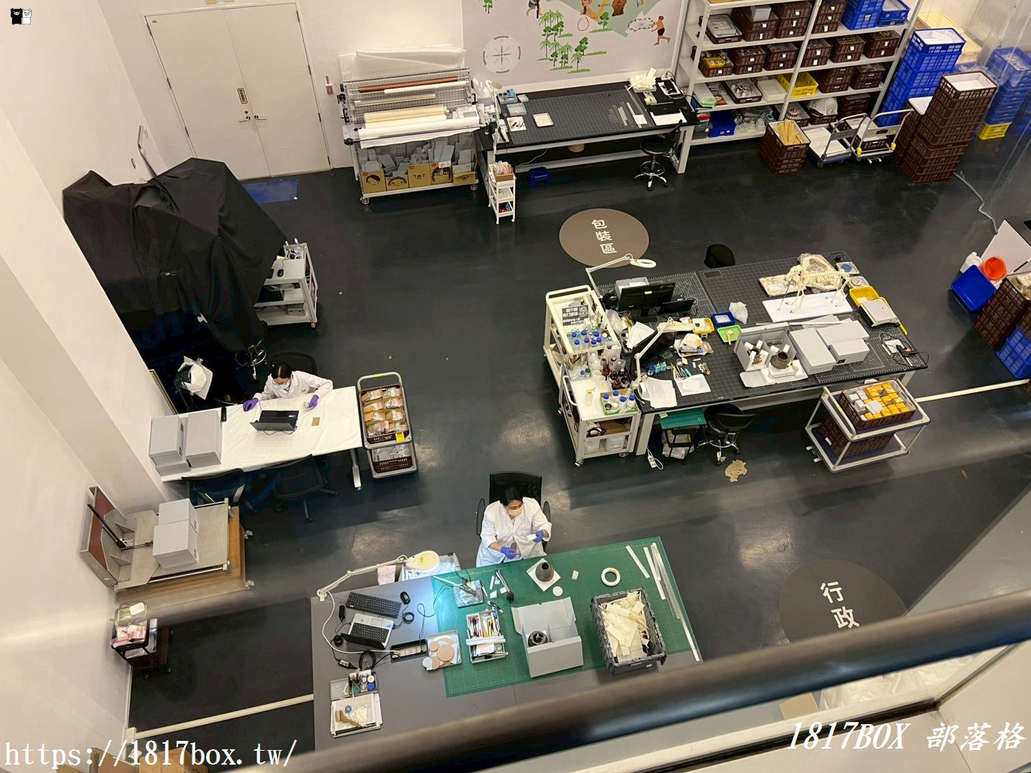 穿越時空的科技考古之旅！台南「南科考古館」超好拍蔦松家族、密室玻璃窗，IG打卡與親子知性一日遊全攻略