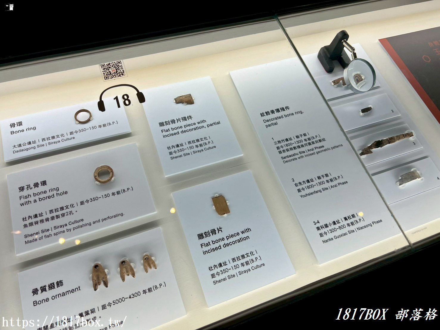 穿越時空的科技考古之旅！台南「南科考古館」超好拍蔦松家族、密室玻璃窗，IG打卡與親子知性一日遊全攻略