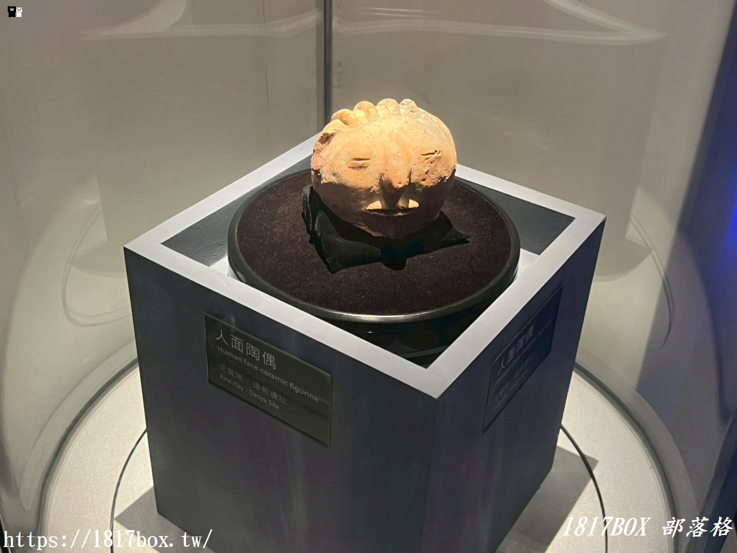 穿越時空的科技考古之旅！台南「南科考古館」超好拍蔦松家族、密室玻璃窗，IG打卡與親子知性一日遊全攻略