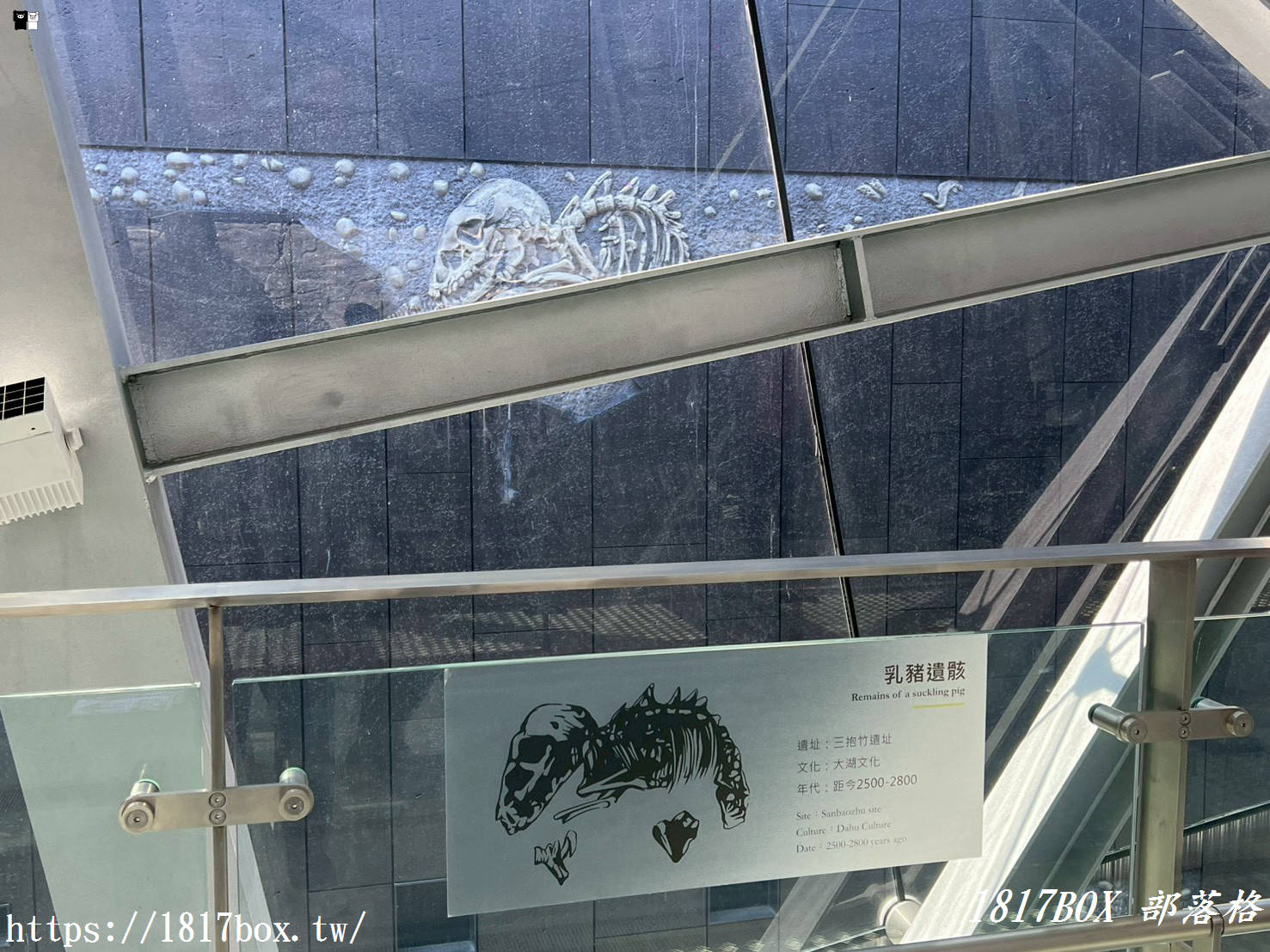 穿越時空的科技考古之旅！台南「南科考古館」超好拍蔦松家族、密室玻璃窗，IG打卡與親子知性一日遊全攻略