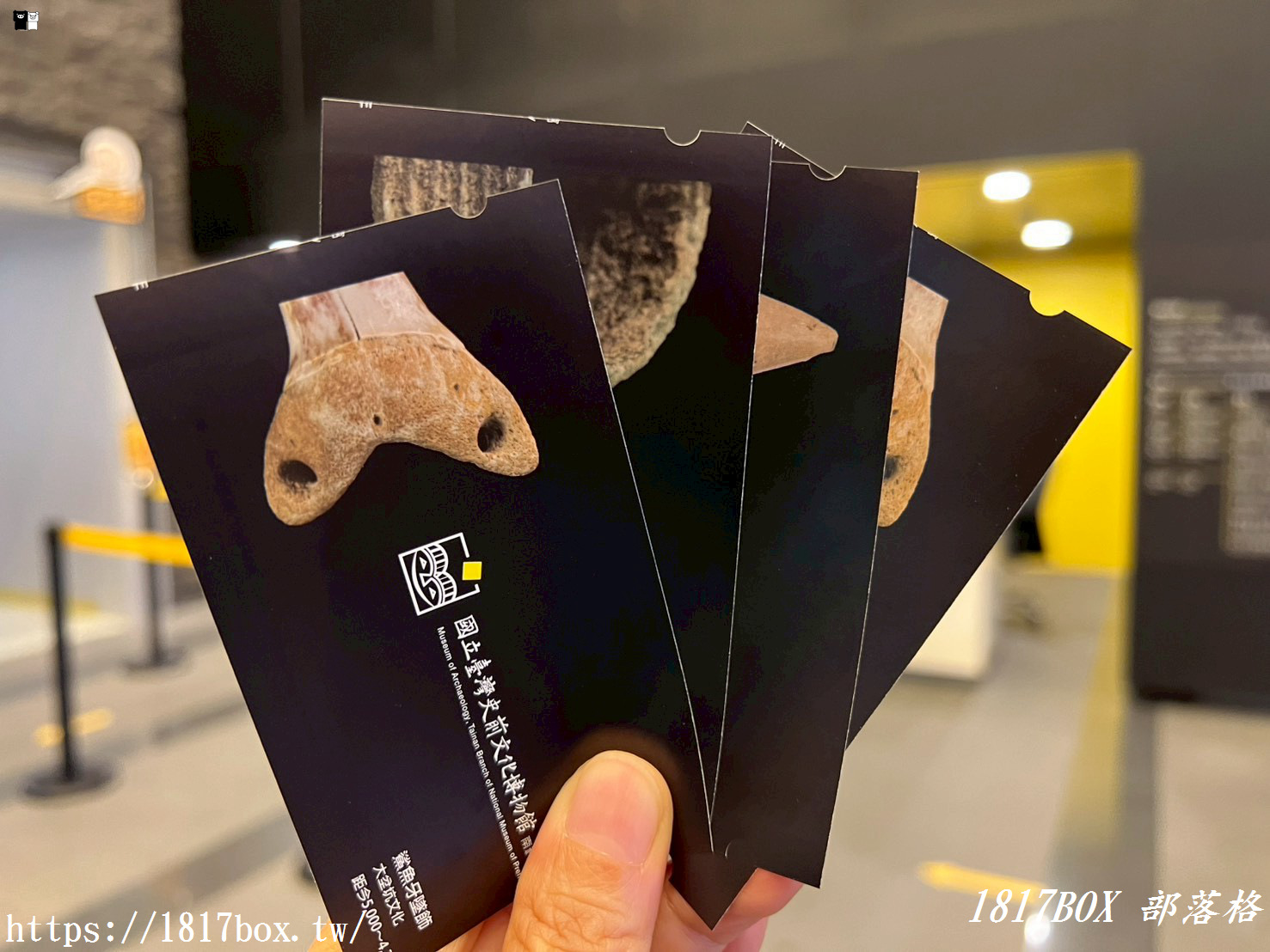 穿越時空的科技考古之旅！台南「南科考古館」超好拍蔦松家族、密室玻璃窗，IG打卡與親子知性一日遊全攻略