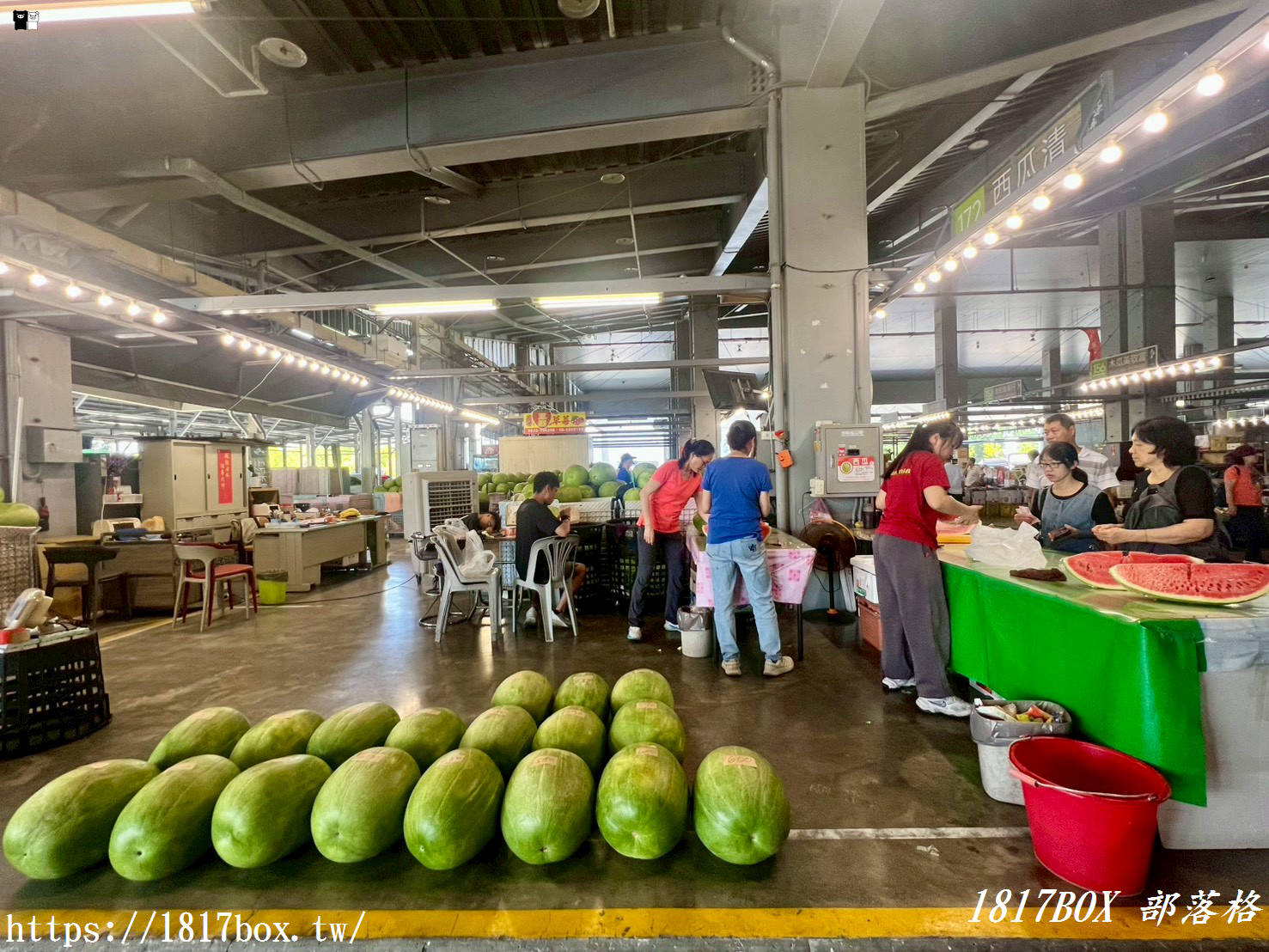 【台南景點】全台最美屋頂！新化果菜市場超完整攻略：波浪梯田綠建築、在地水果必買推薦、絕美拍照打卡點全收錄