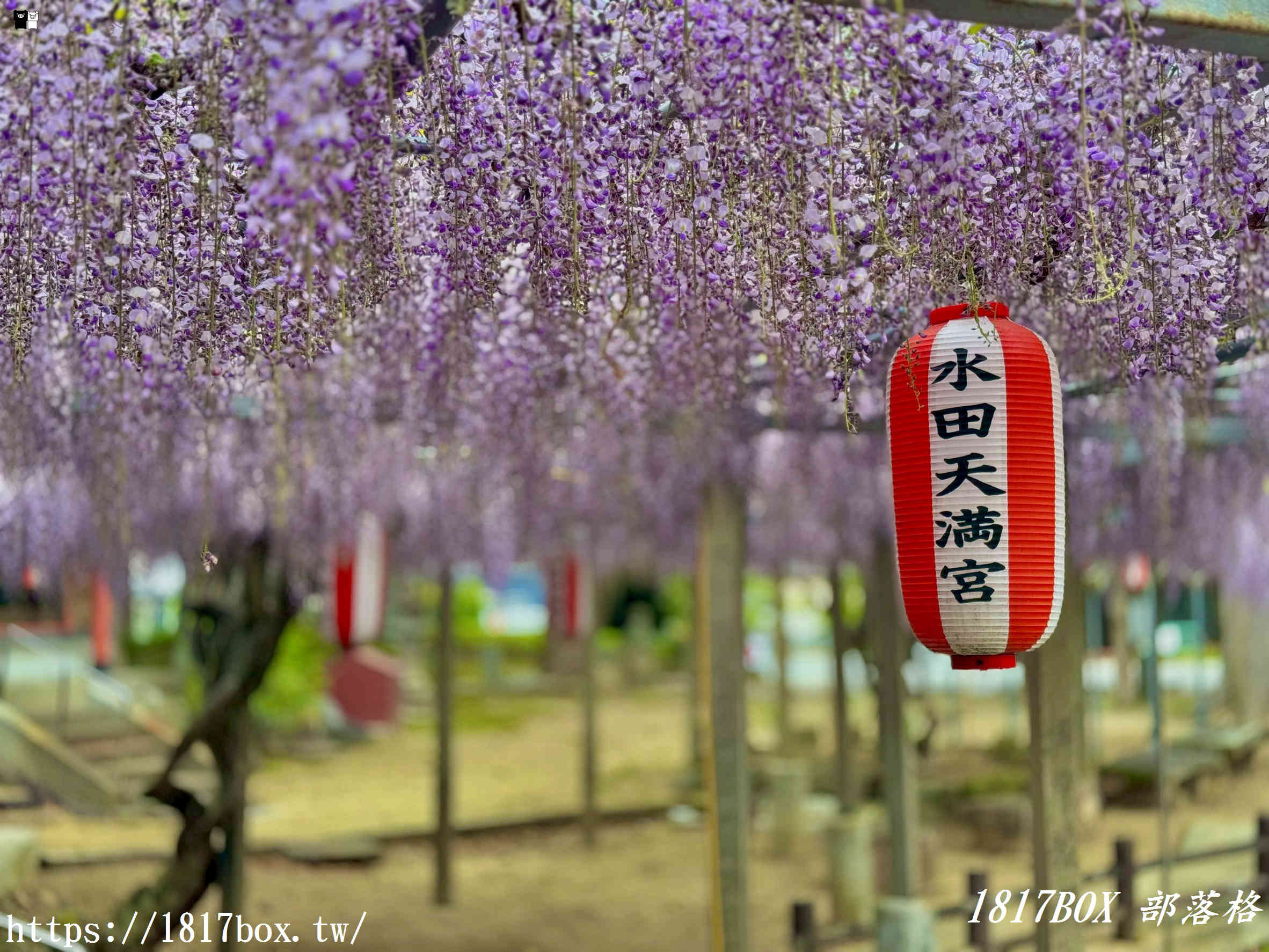 【福岡自由行】水田天滿宮一日遊：戀木神社求脫單、隱藏版貓頭鷹御守全攻略！