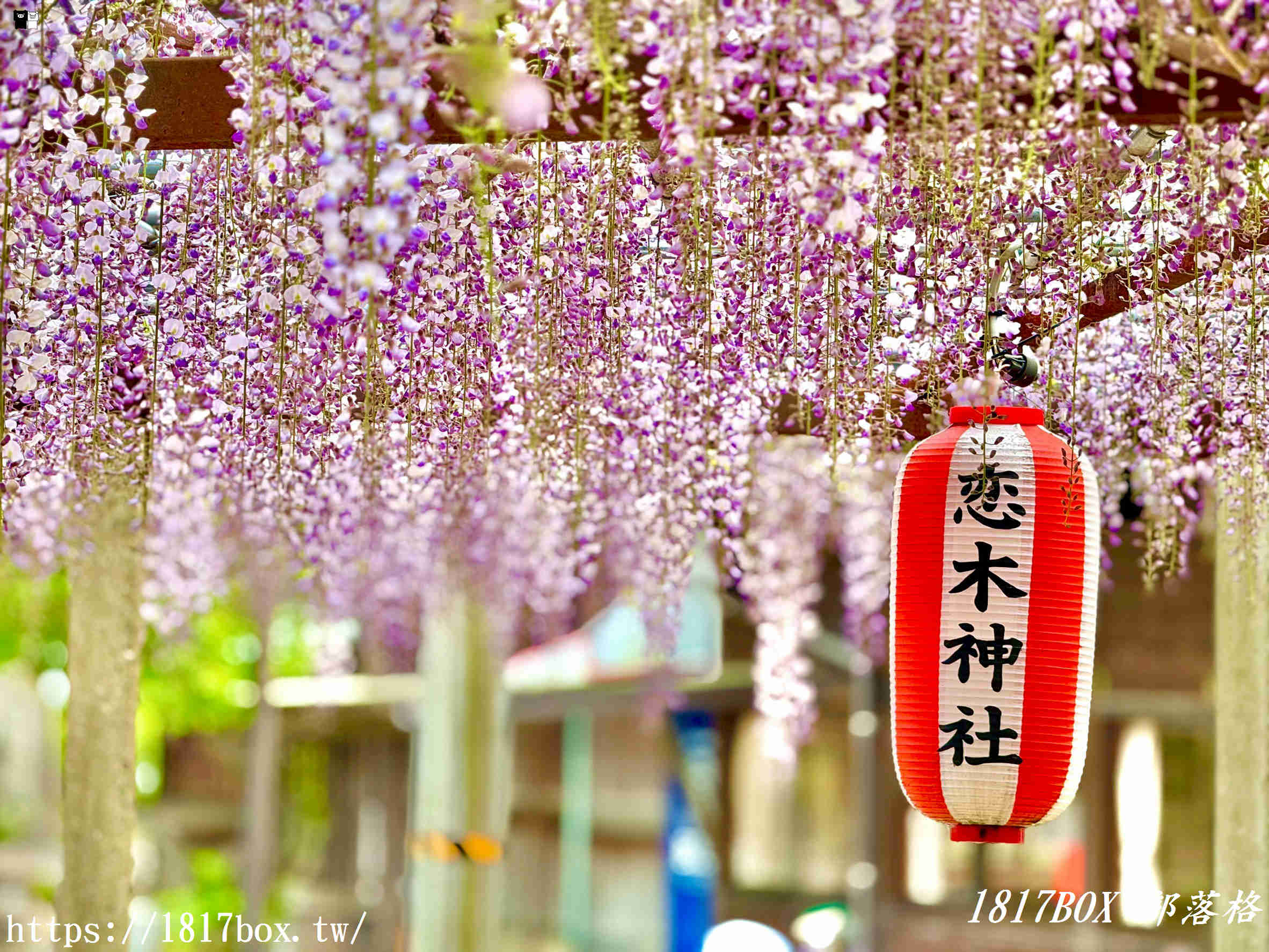 【福岡自由行】水田天滿宮一日遊：戀木神社求脫單、隱藏版貓頭鷹御守全攻略！
