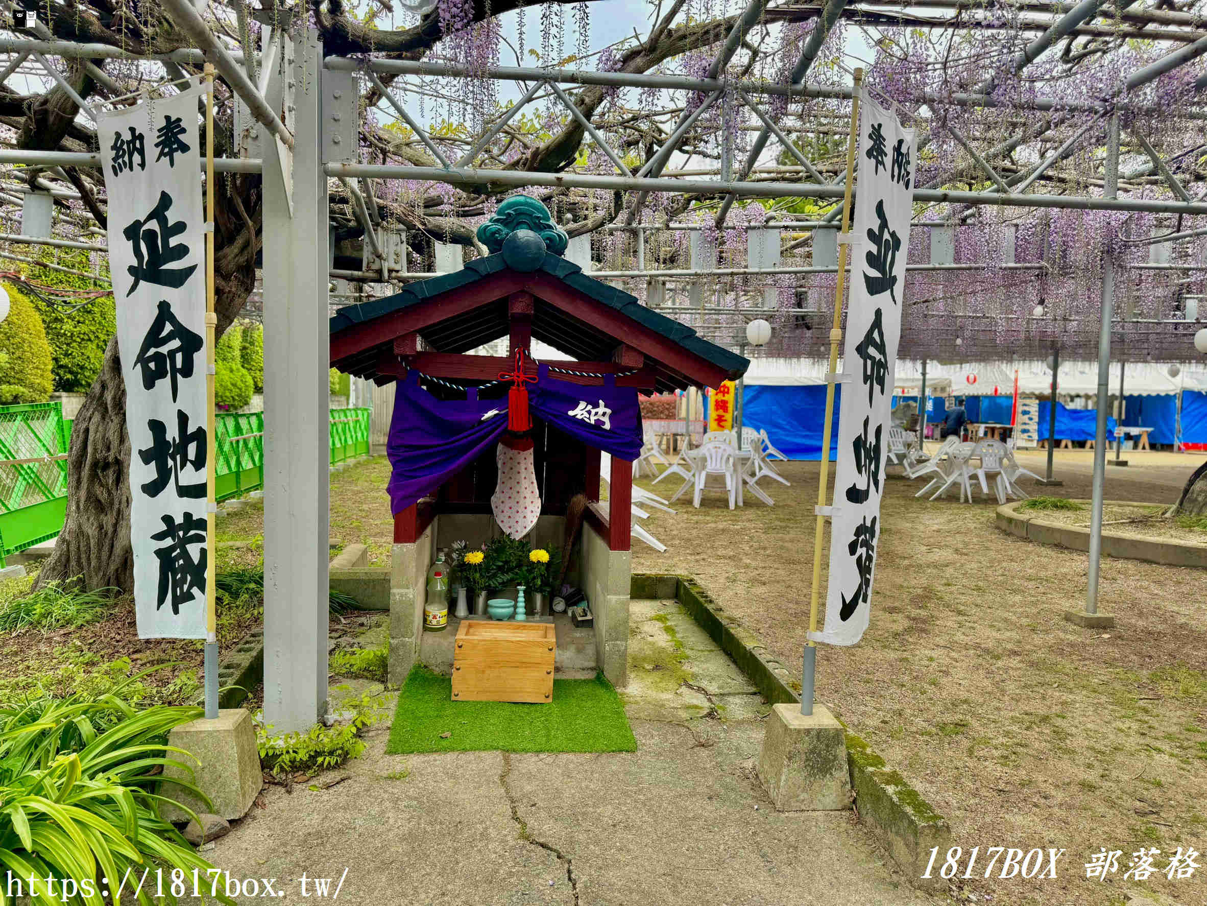 靜謐紫藤旁的千年守護！福岡「中山熊野神社」隱藏版巨樹與求好運指南( 皮克敏菇點、花點 )