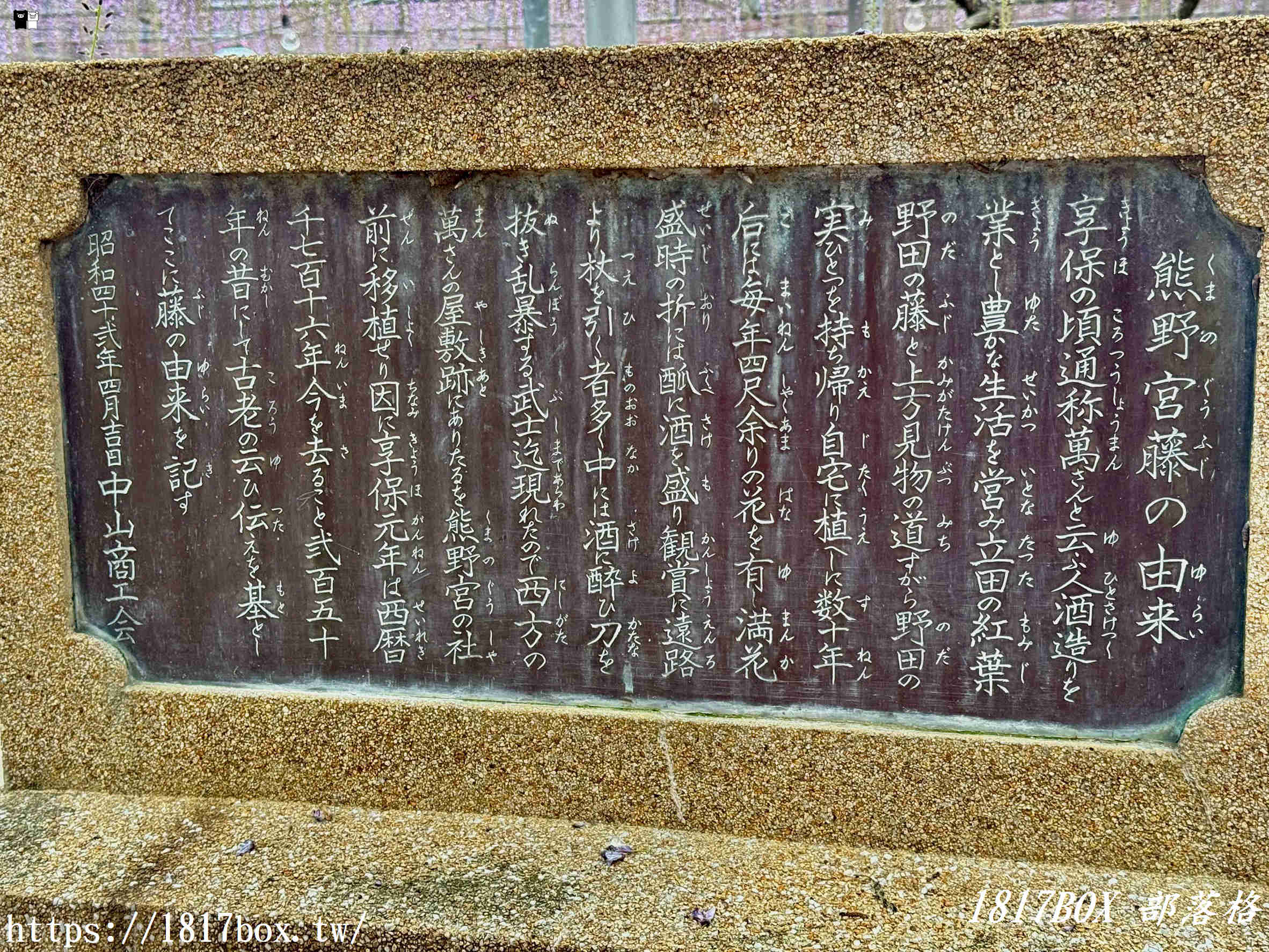 【福岡景點】中山大藤祭：走進300年歷史的紫色瀑布！最新花期、免門票交通攻略