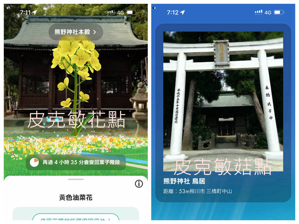 靜謐紫藤旁的千年守護！福岡「中山熊野神社」隱藏版巨樹與求好運指南( 皮克敏菇點、花點 )