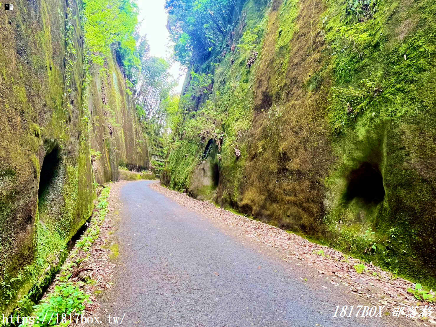 網美打卡新祕境！深入九州巨石裂縫「岩隈山の切通し」，彷彿走進宮崎駿動畫的異世界峽谷