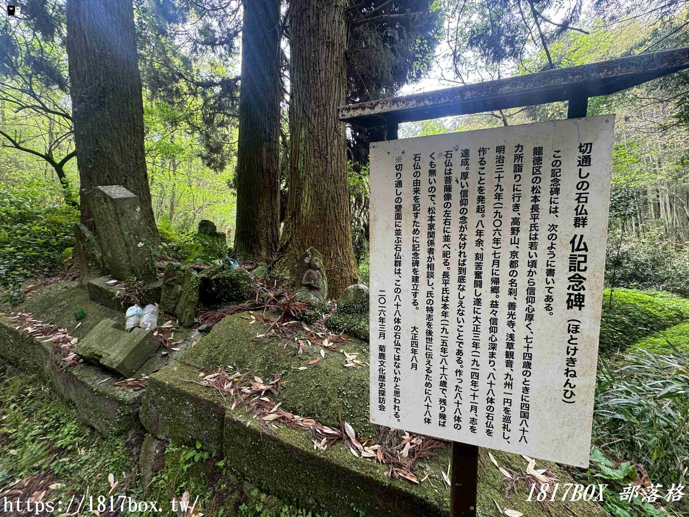 網美打卡新祕境！深入九州巨石裂縫「岩隈山の切通し」，彷彿走進宮崎駿動畫的異世界峽谷