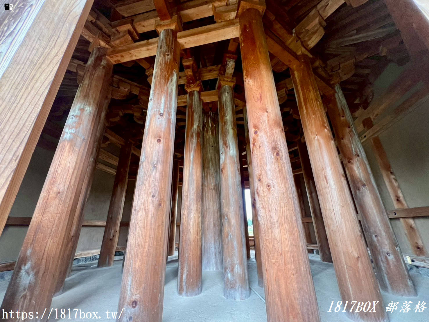 【熊本私房景點】穿越千年秒到飛鳥時代！「鞠智城跡」超巨型八角鼓樓、賞櫻野餐大草皮，在地人帶路歷史大冒險！