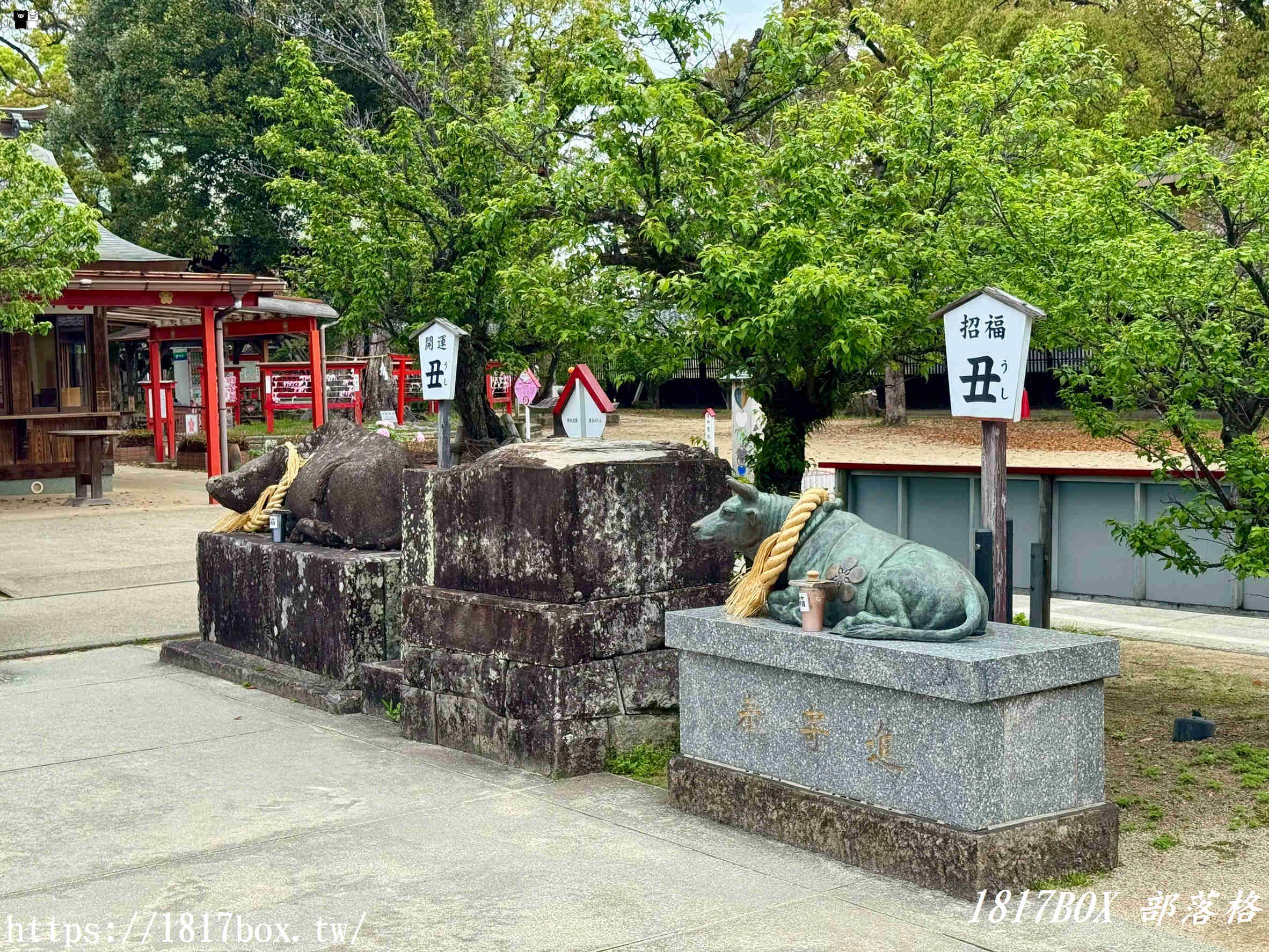 【福岡自由行】水田天滿宮一日遊：戀木神社求脫單、隱藏版貓頭鷹御守全攻略！