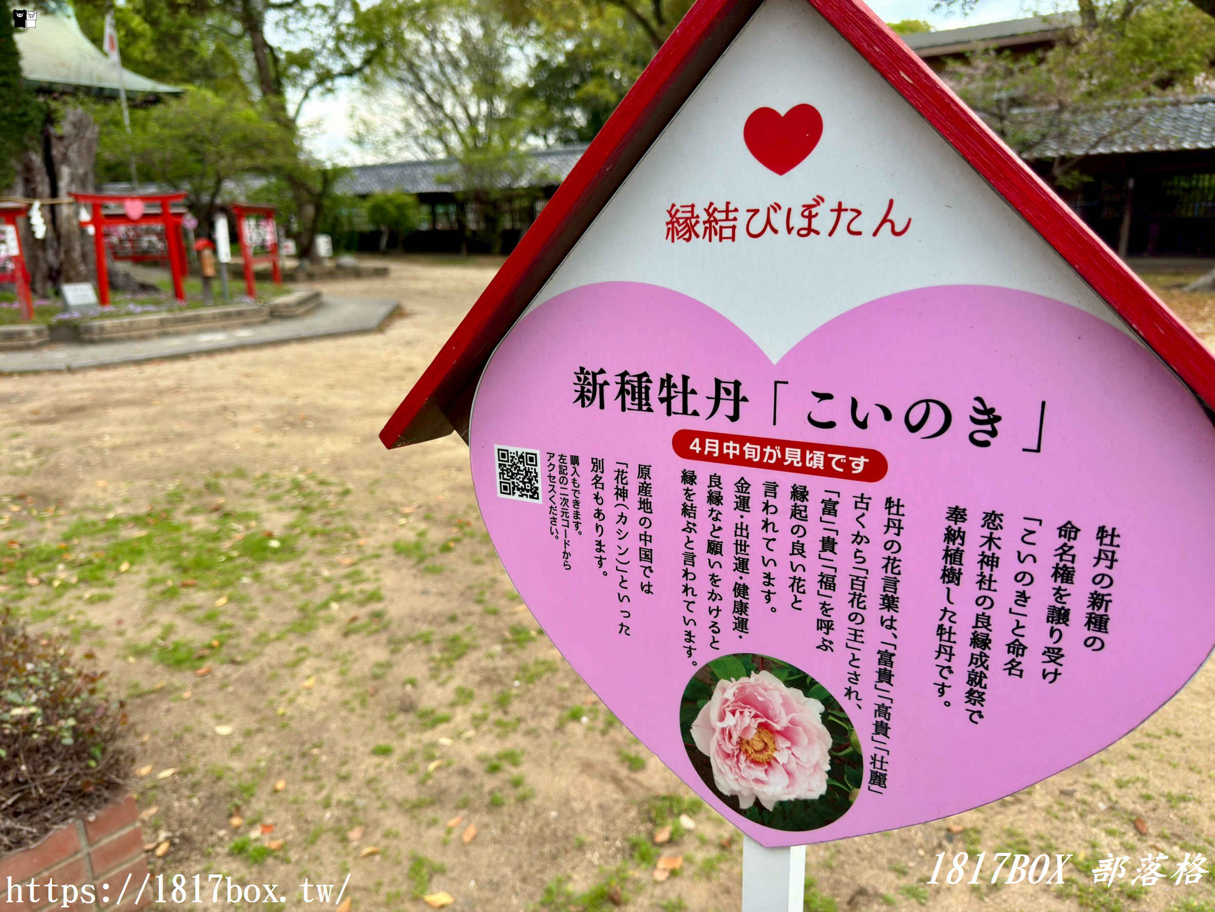 【福岡自由行】水田天滿宮一日遊：戀木神社求脫單、隱藏版貓頭鷹御守全攻略！