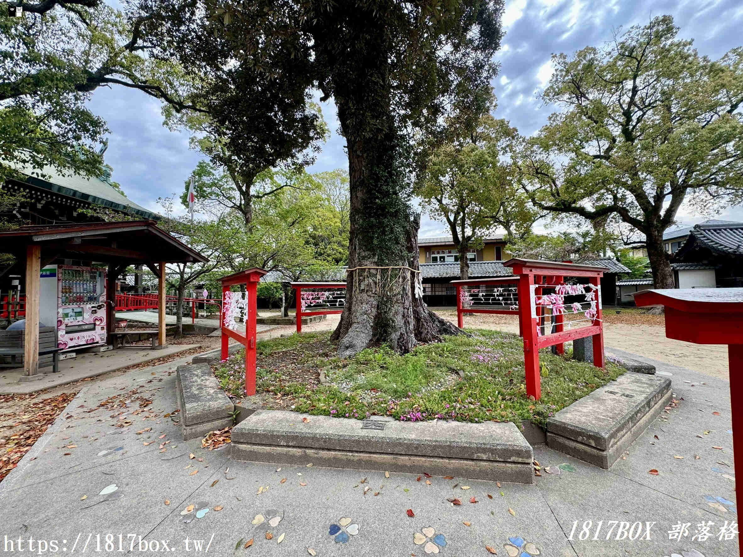 【福岡自由行】水田天滿宮一日遊：戀木神社求脫單、隱藏版貓頭鷹御守全攻略！