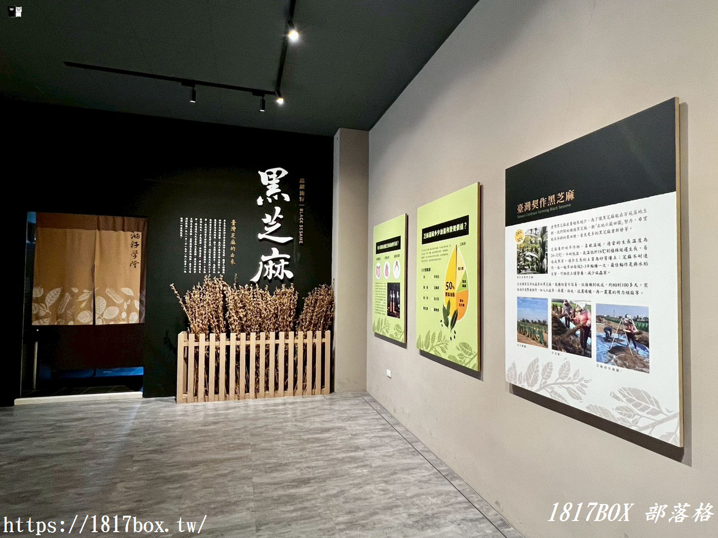 彰化芳苑隱藏版景點！「油籽學堂門市體驗館」百年製油香，超好玩黑芝麻醬 DIY 體驗，親子一日遊推薦！