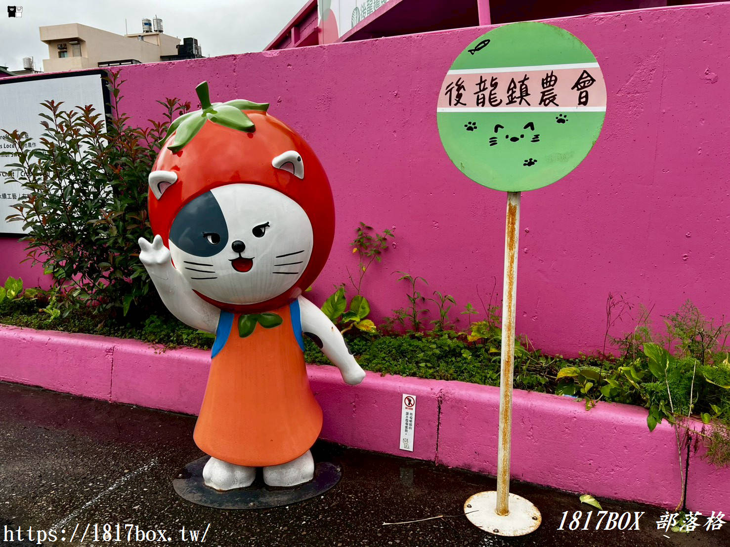 苗栗後龍可愛地標！「後龍鎮農會農特產品展售中心」超萌貓咪裝置藝術必打卡，必買大西瓜氣泡飲、爆米香攻略！