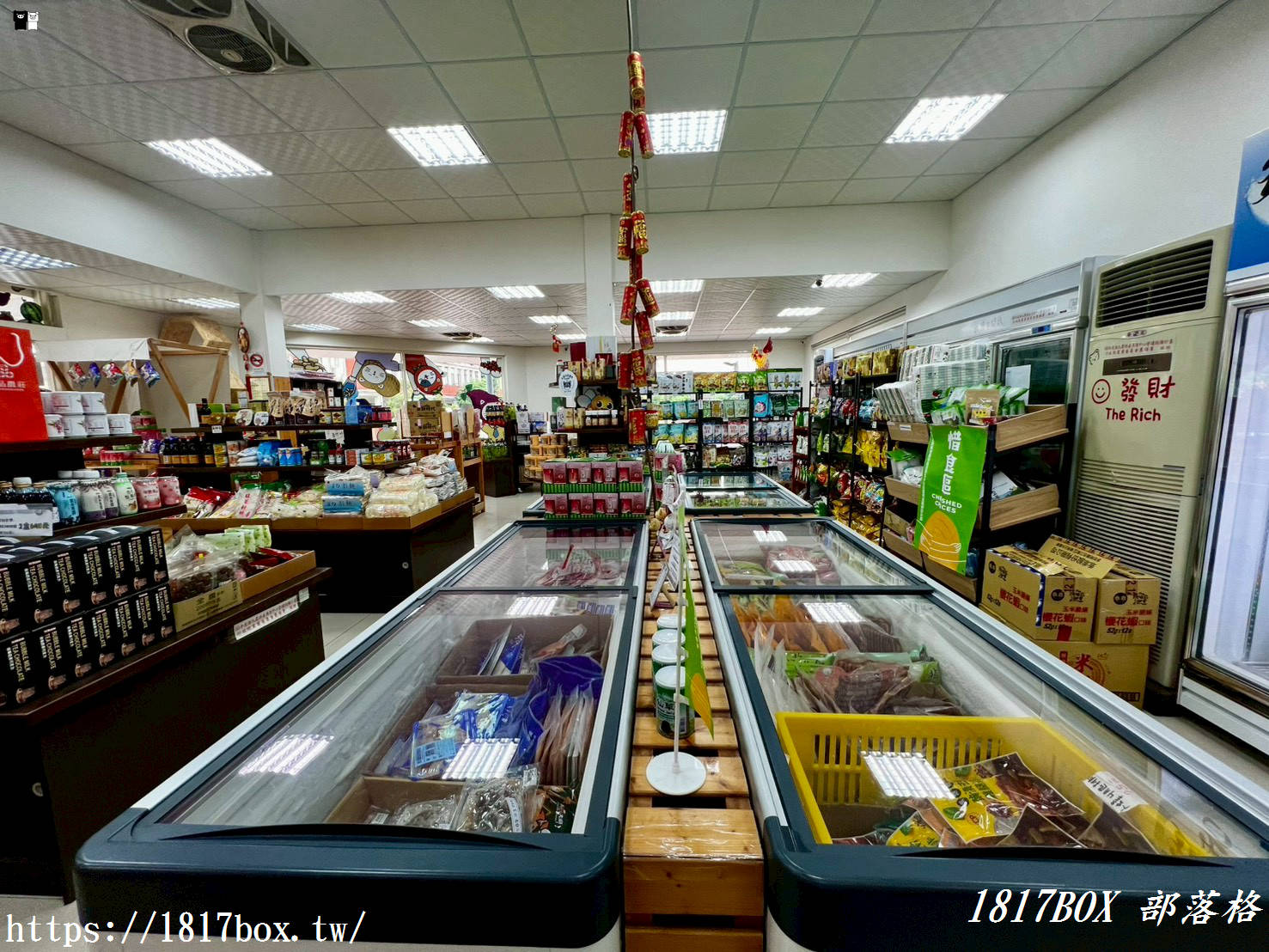 苗栗後龍可愛地標！「後龍鎮農會農特產品展售中心」超萌貓咪裝置藝術必打卡，必買大西瓜氣泡飲、爆米香攻略！