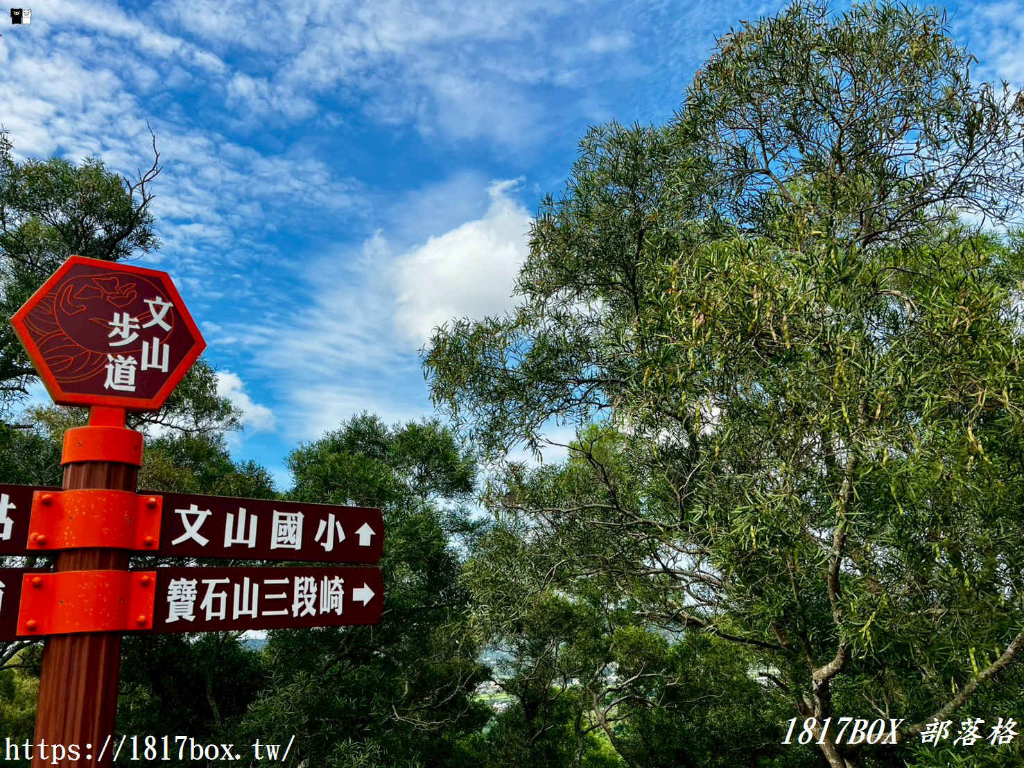 俯瞰高鐵疾馳！新竹新埔「文山步道」：免半小時登頂、絕美木棧道全攻略