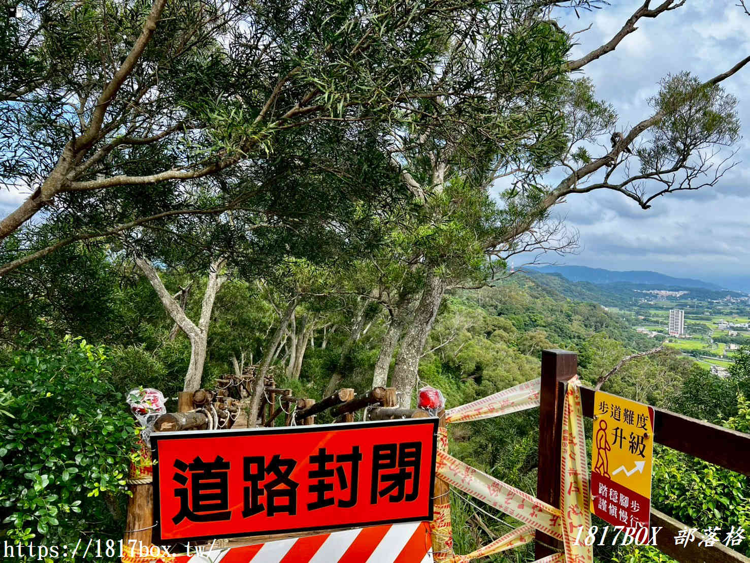 俯瞰高鐵疾馳！新竹新埔「文山步道」：免半小時登頂、絕美木棧道全攻略