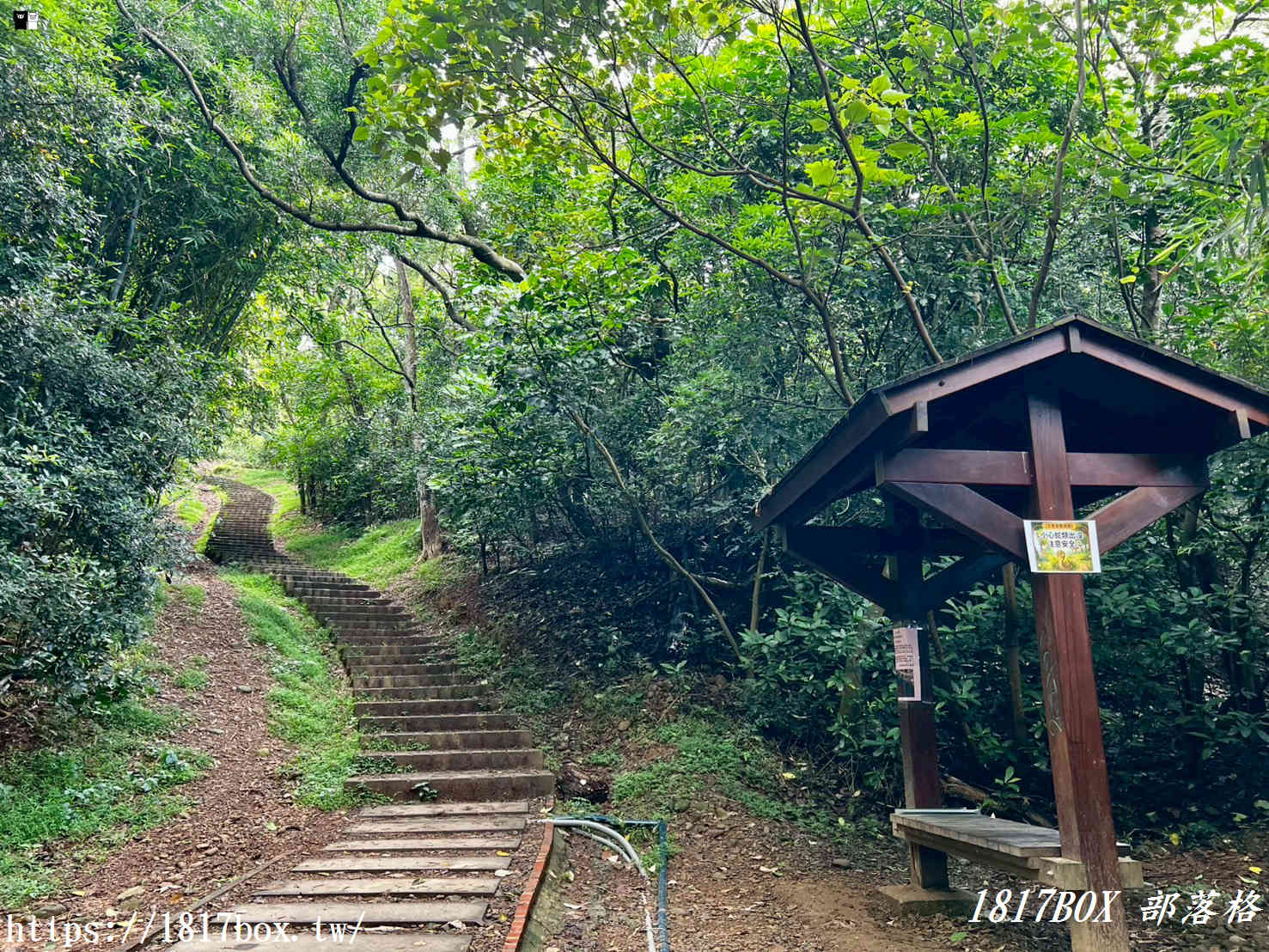 俯瞰高鐵疾馳！新竹新埔「文山步道」：免半小時登頂、絕美木棧道全攻略