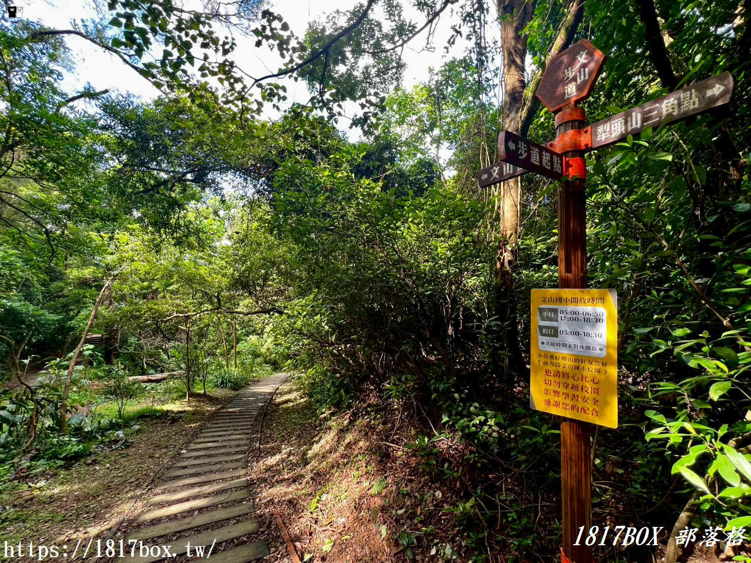 俯瞰高鐵疾馳！新竹新埔「文山步道」：免半小時登頂、絕美木棧道全攻略