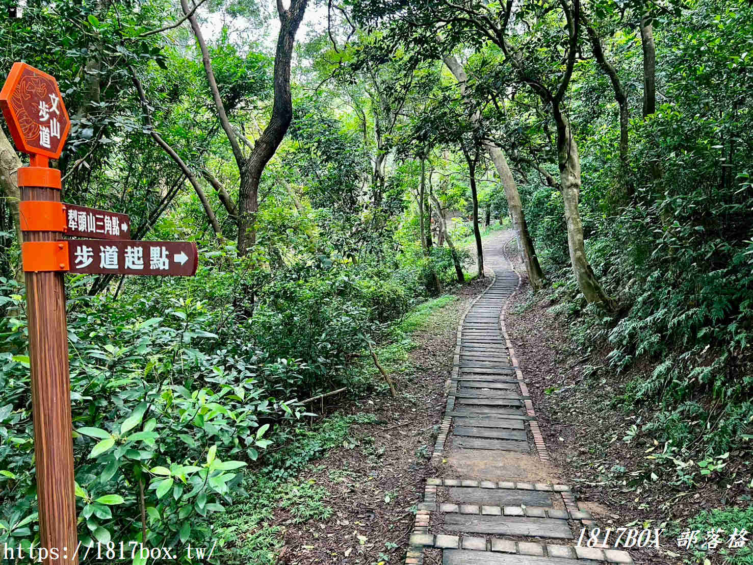 俯瞰高鐵疾馳！新竹新埔「文山步道」：免半小時登頂、絕美木棧道全攻略