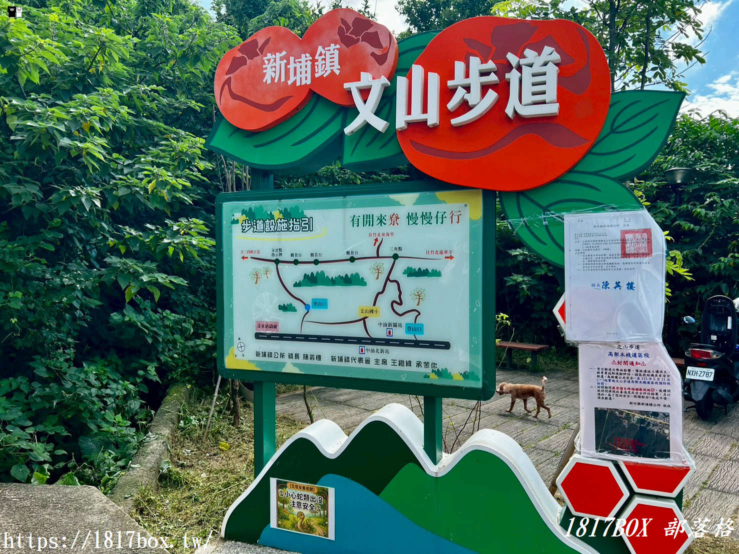 俯瞰高鐵疾馳！新竹新埔「文山步道」：免半小時登頂、絕美木棧道全攻略