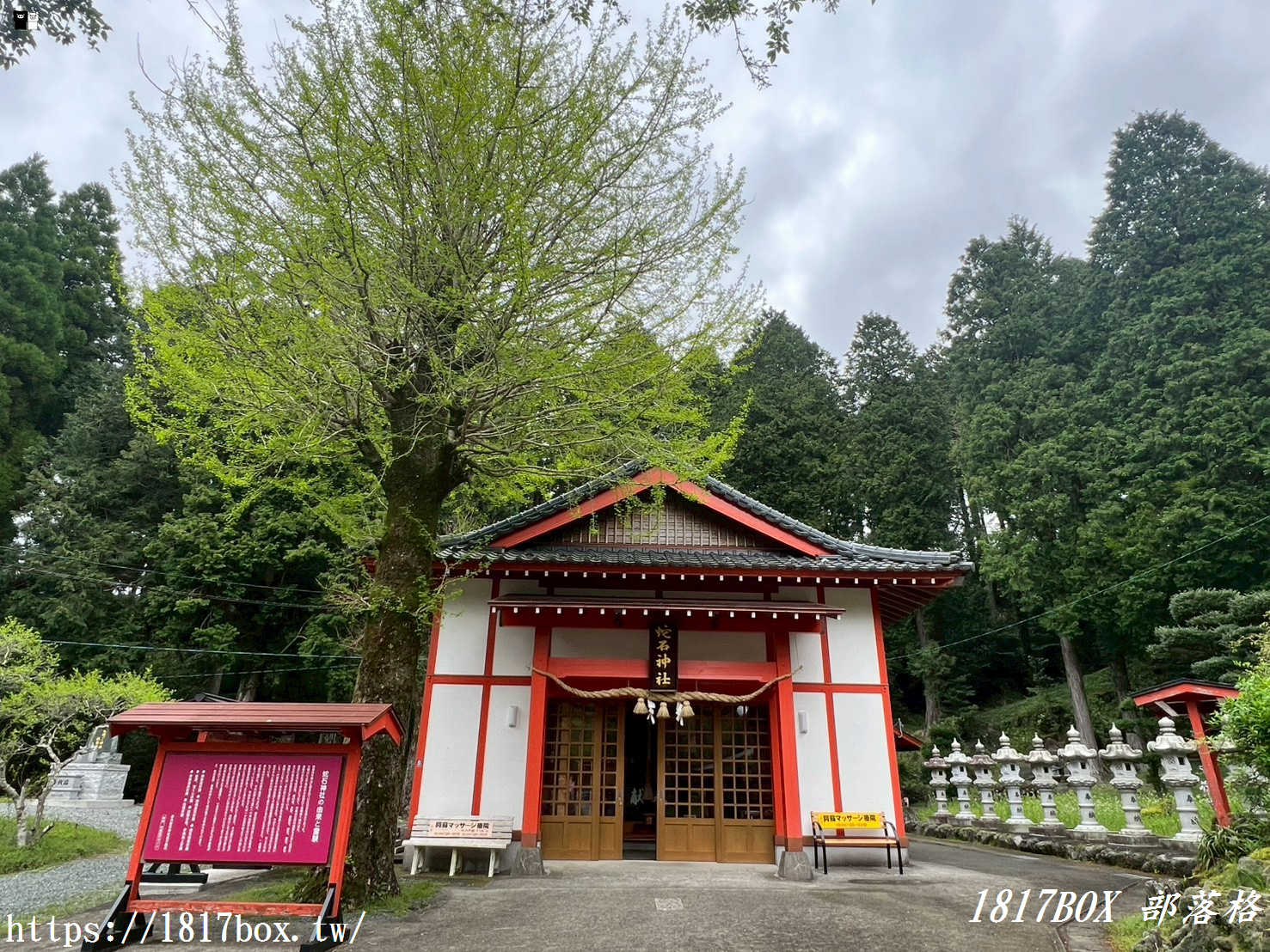 【九州阿蘇秘境】赤水蛇石神社:內行人才懂的求財聖地!來看活體白蛇、貼名片發大財,據說中樂透超靈驗! 【九州阿蘇秘境】赤水蛇石神社:內行人才懂的求財聖地!來看活體白蛇、貼名片發大財,據說中樂透超靈驗!