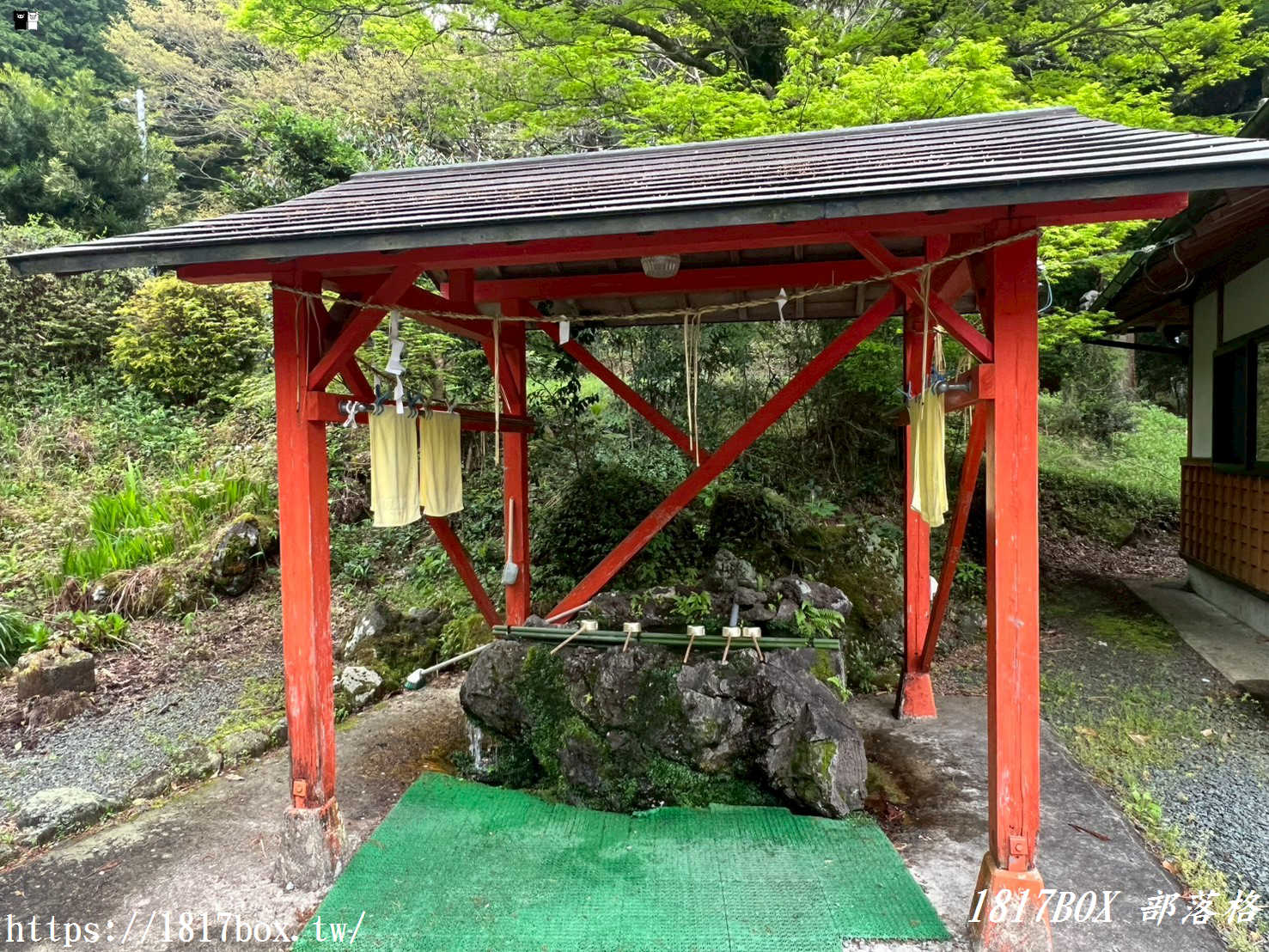 【九州阿蘇秘境】赤水蛇石神社：內行人才懂的求財聖地！來看活體白蛇、貼名片發大財，據說中樂透超靈驗！