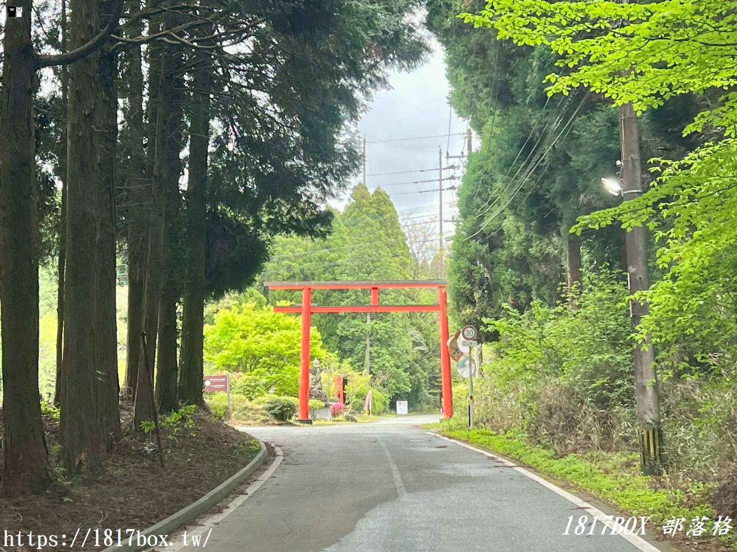 【九州阿蘇秘境】赤水蛇石神社:內行人才懂的求財聖地!來看活體白蛇、貼名片發大財,據說中樂透超靈驗! 【九州阿蘇秘境】赤水蛇石神社:內行人才懂的求財聖地!來看活體白蛇、貼名片發大財,據說中樂透超靈驗!