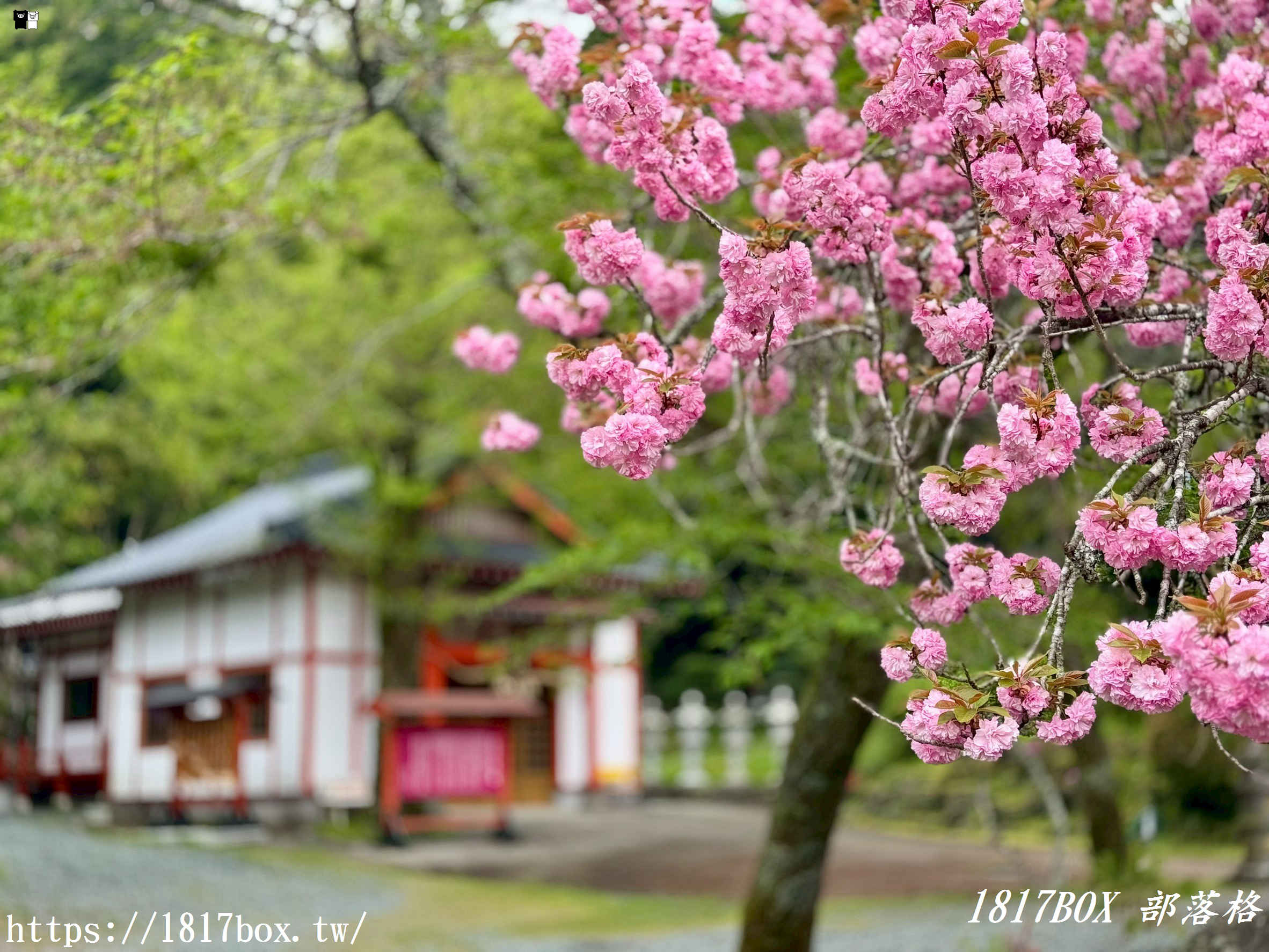 【九州阿蘇秘境】赤水蛇石神社:內行人才懂的求財聖地!來看活體白蛇、貼名片發大財,據說中樂透超靈驗! 【九州阿蘇秘境】赤水蛇石神社:內行人才懂的求財聖地!來看活體白蛇、貼名片發大財,據說中樂透超靈驗!