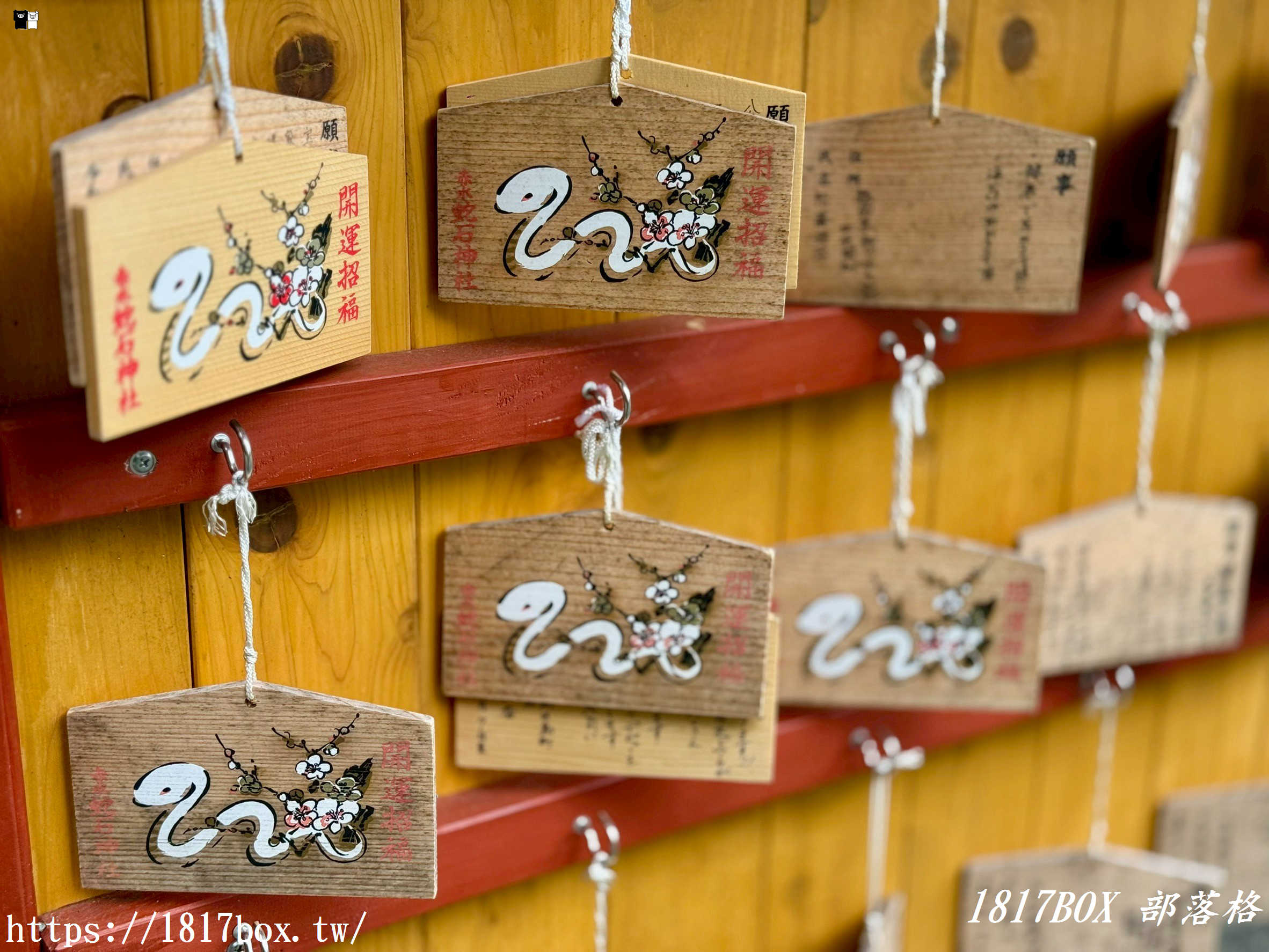 【九州阿蘇秘境】赤水蛇石神社:內行人才懂的求財聖地!來看活體白蛇、貼名片發大財,據說中樂透超靈驗! 【九州阿蘇秘境】赤水蛇石神社:內行人才懂的求財聖地!來看活體白蛇、貼名片發大財,據說中樂透超靈驗!