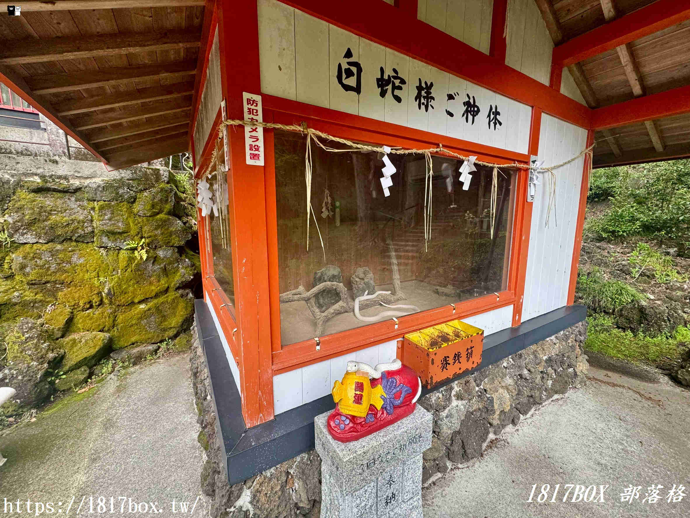 【九州阿蘇秘境】赤水蛇石神社:內行人才懂的求財聖地!來看活體白蛇、貼名片發大財,據說中樂透超靈驗! 【九州阿蘇秘境】赤水蛇石神社:內行人才懂的求財聖地!來看活體白蛇、貼名片發大財,據說中樂透超靈驗!
