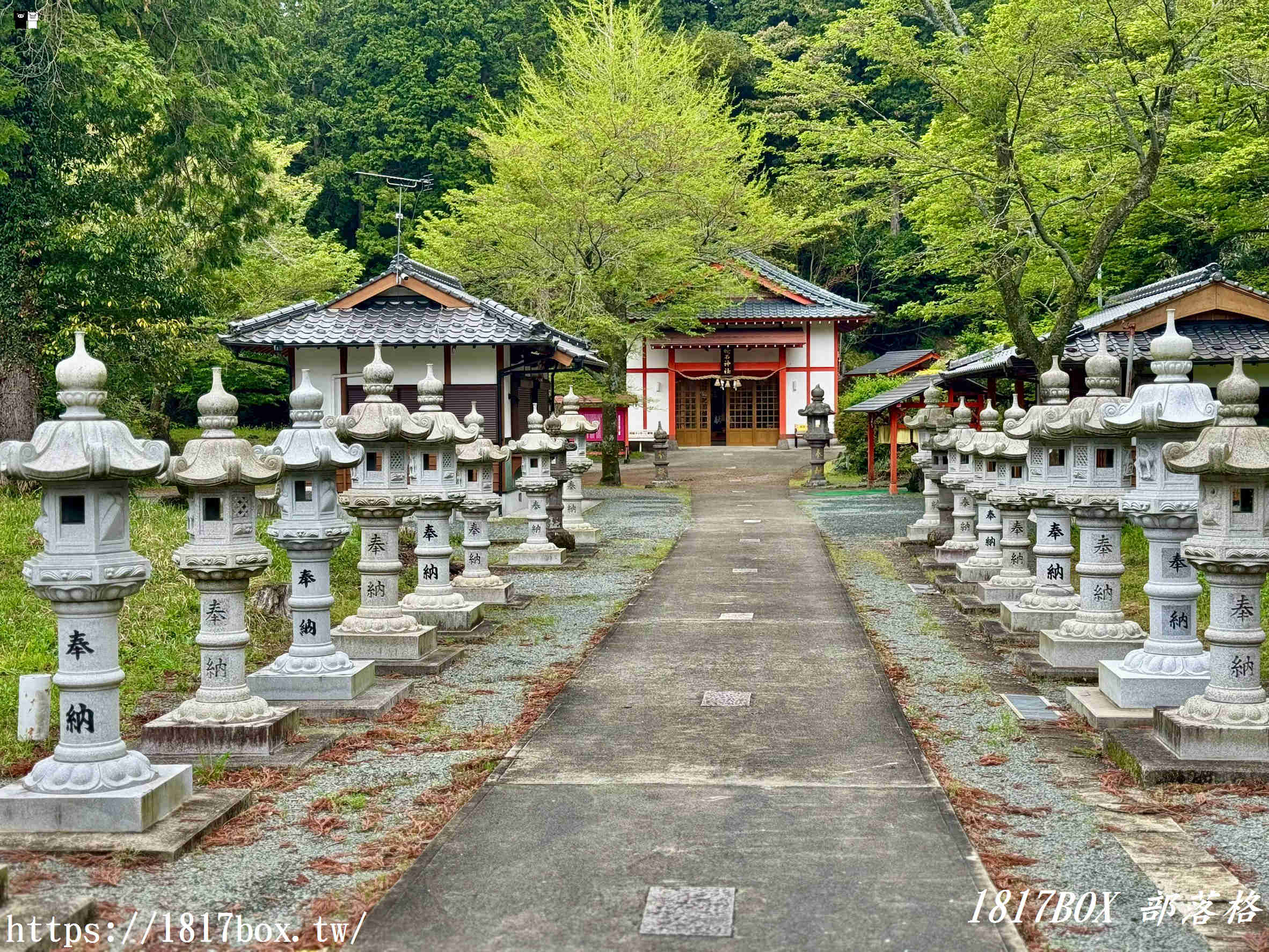 【九州阿蘇秘境】赤水蛇石神社:內行人才懂的求財聖地!來看活體白蛇、貼名片發大財,據說中樂透超靈驗! 【九州阿蘇秘境】赤水蛇石神社:內行人才懂的求財聖地!來看活體白蛇、貼名片發大財,據說中樂透超靈驗!