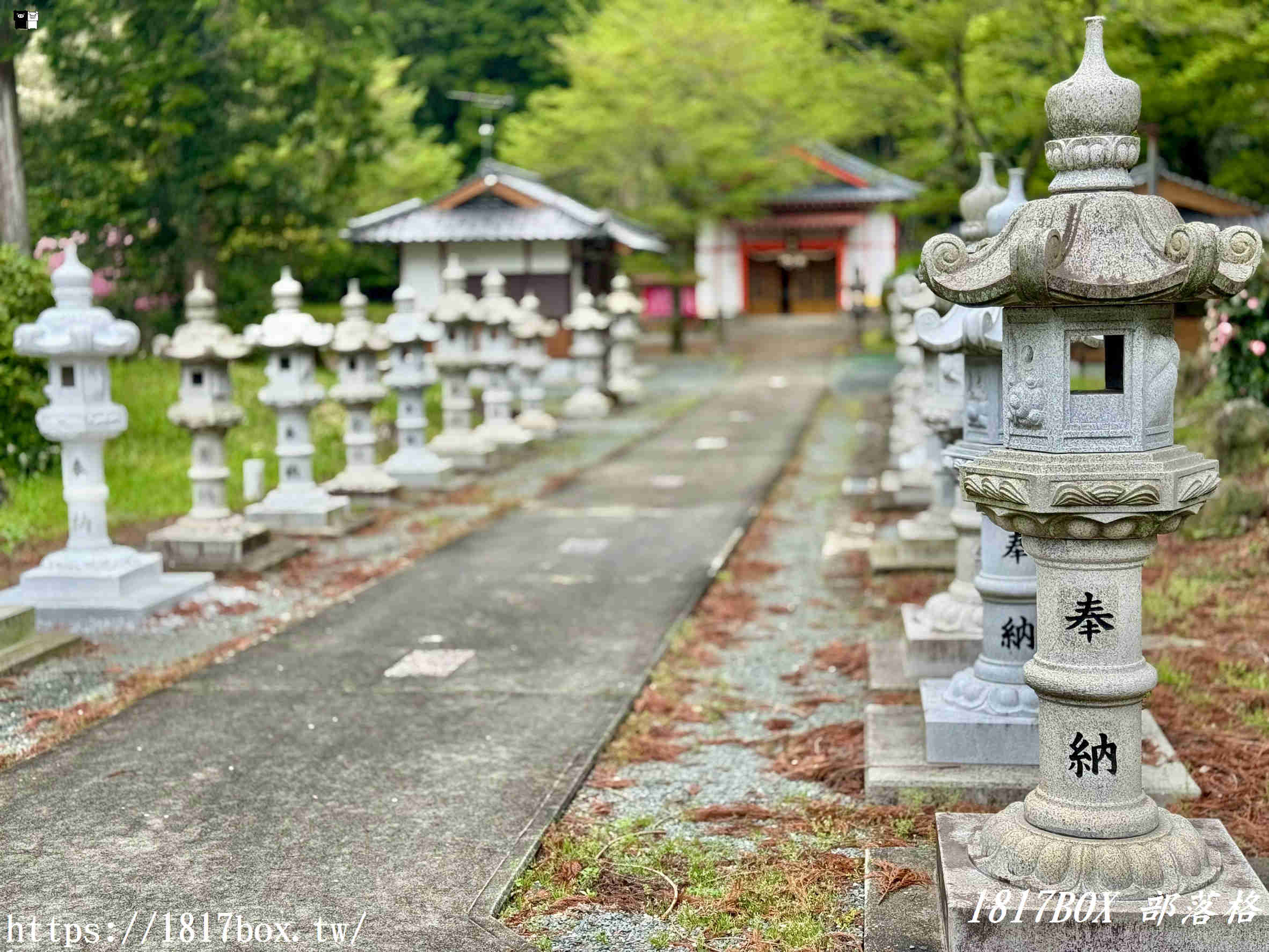 【九州阿蘇秘境】赤水蛇石神社:內行人才懂的求財聖地!來看活體白蛇、貼名片發大財,據說中樂透超靈驗! 【九州阿蘇秘境】赤水蛇石神社:內行人才懂的求財聖地!來看活體白蛇、貼名片發大財,據說中樂透超靈驗!