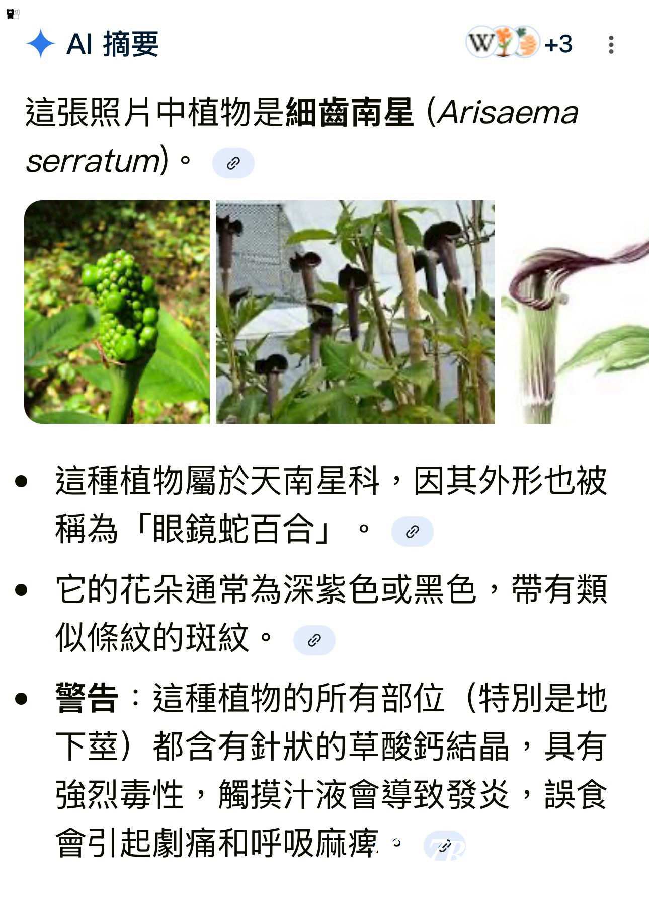 【九州阿蘇秘境】赤水蛇石神社:內行人才懂的求財聖地!來看活體白蛇、貼名片發大財,據說中樂透超靈驗! 【九州阿蘇秘境】赤水蛇石神社:內行人才懂的求財聖地!來看活體白蛇、貼名片發大財,據說中樂透超靈驗!