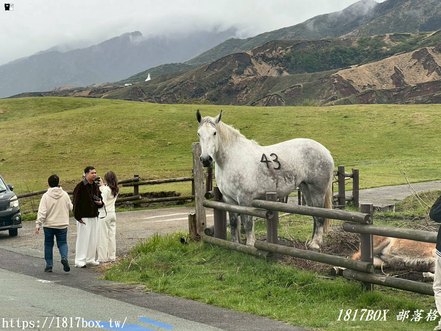 走進宮崎駿的綠色夢境！2026阿蘇「草千里之濱」全攻略：火山下的療癒騎馬體驗與赤牛丼美食