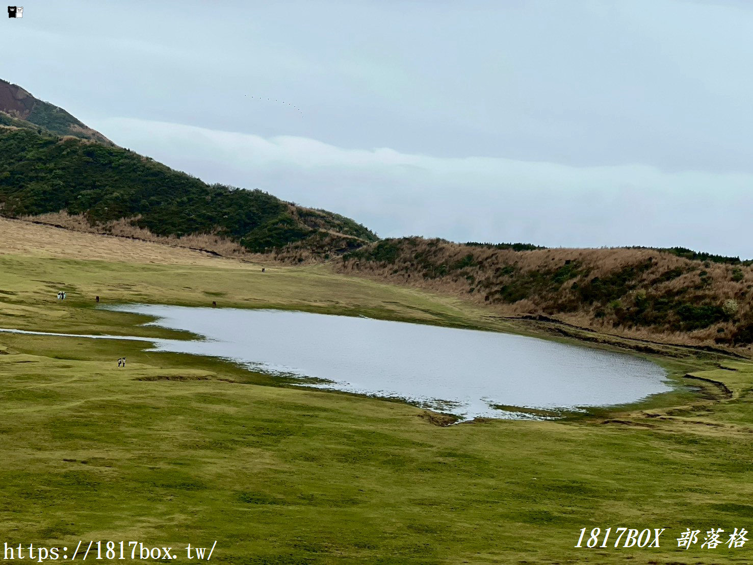 走進宮崎駿的綠色夢境！2026阿蘇「草千里之濱」全攻略：火山下的療癒騎馬體驗與赤牛丼美食