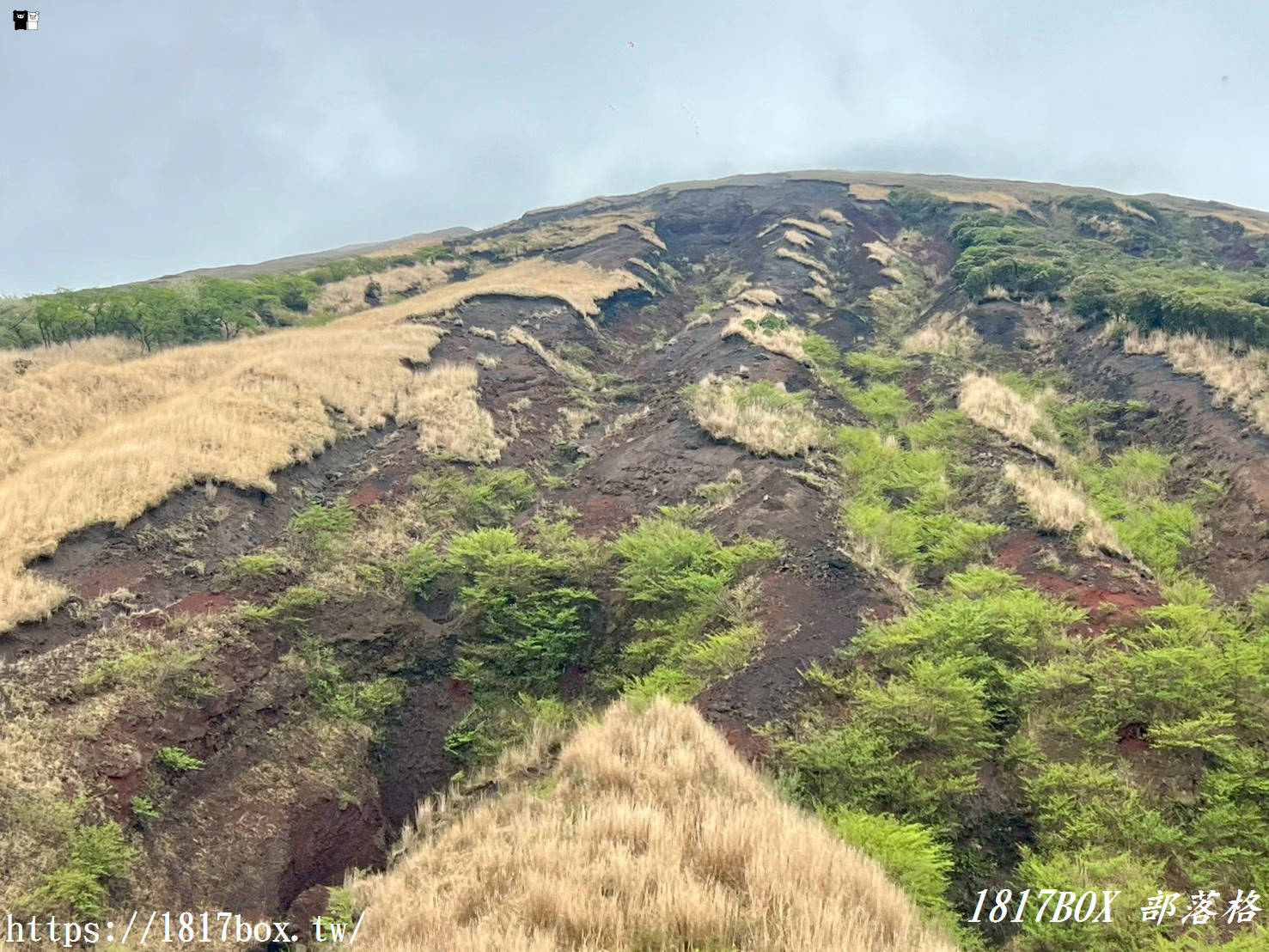 走進宮崎駿的綠色夢境！2026阿蘇「草千里之濱」全攻略：火山下的療癒騎馬體驗與赤牛丼美食