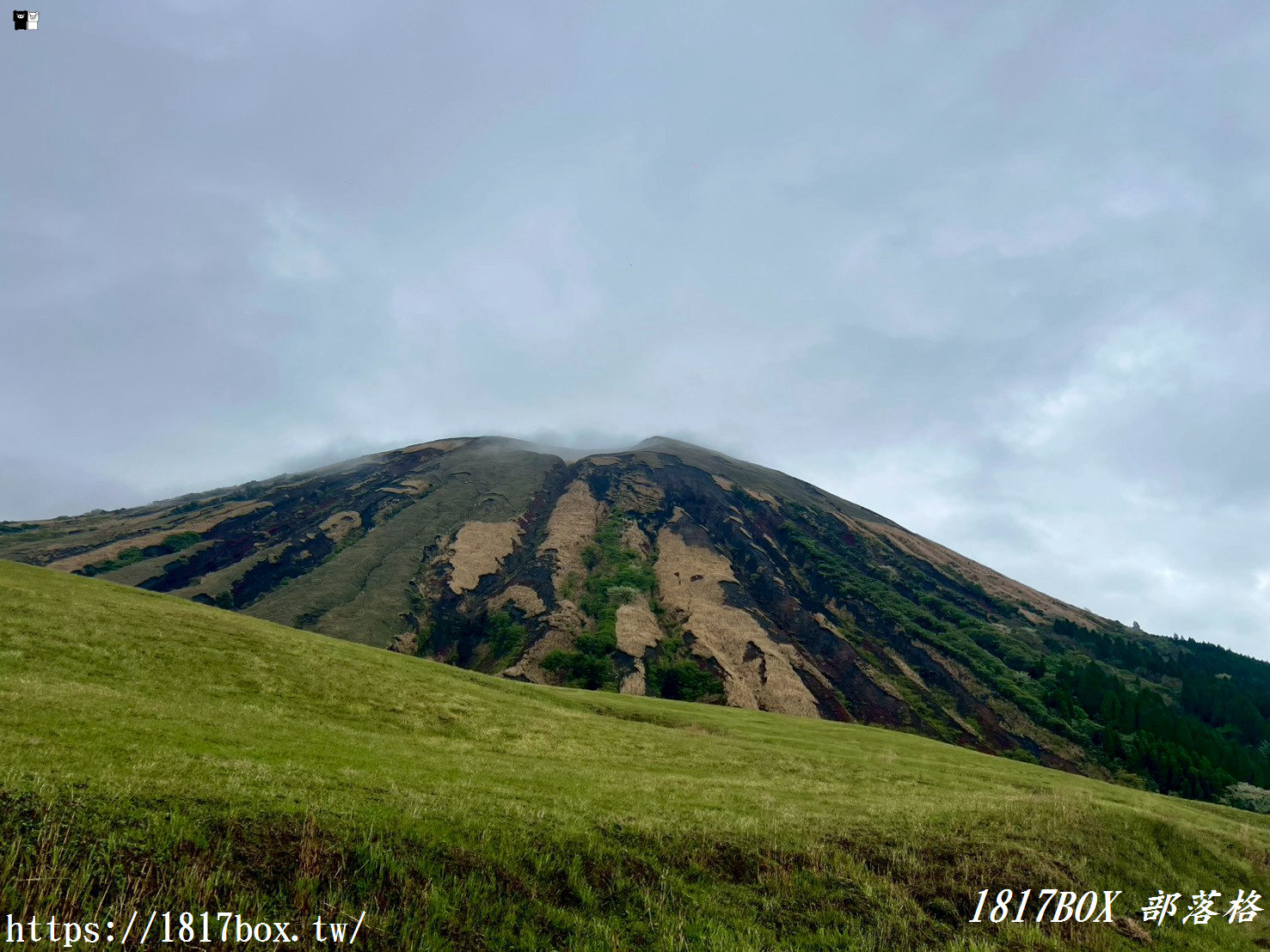 走進宮崎駿的綠色夢境！2026阿蘇「草千里之濱」全攻略：火山下的療癒騎馬體驗與赤牛丼美食
