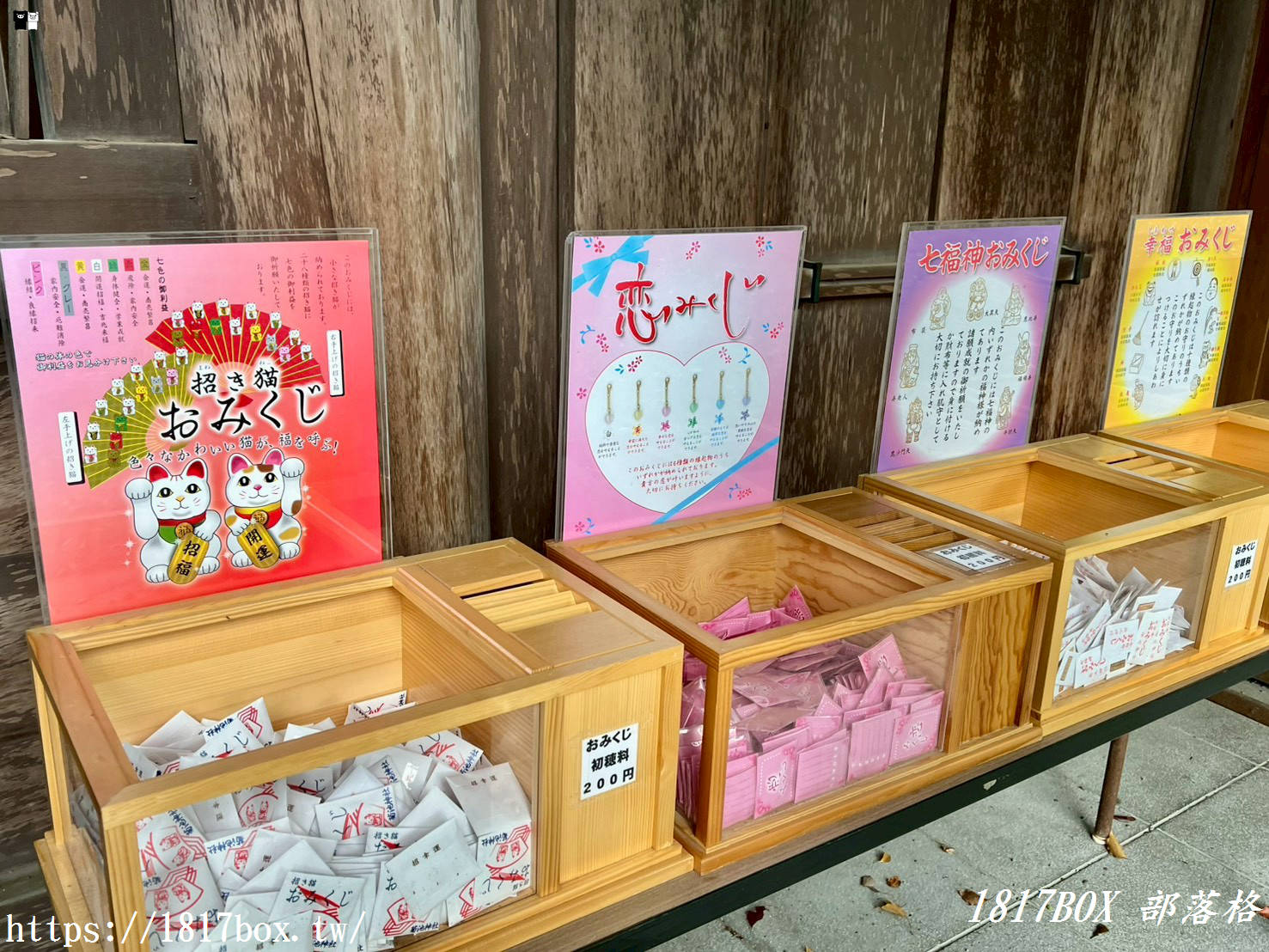 【熊本自由行】菊池神社全攻略：漫步歷史古道與春櫻名所，交通、祭神、私房景點不藏私指南！