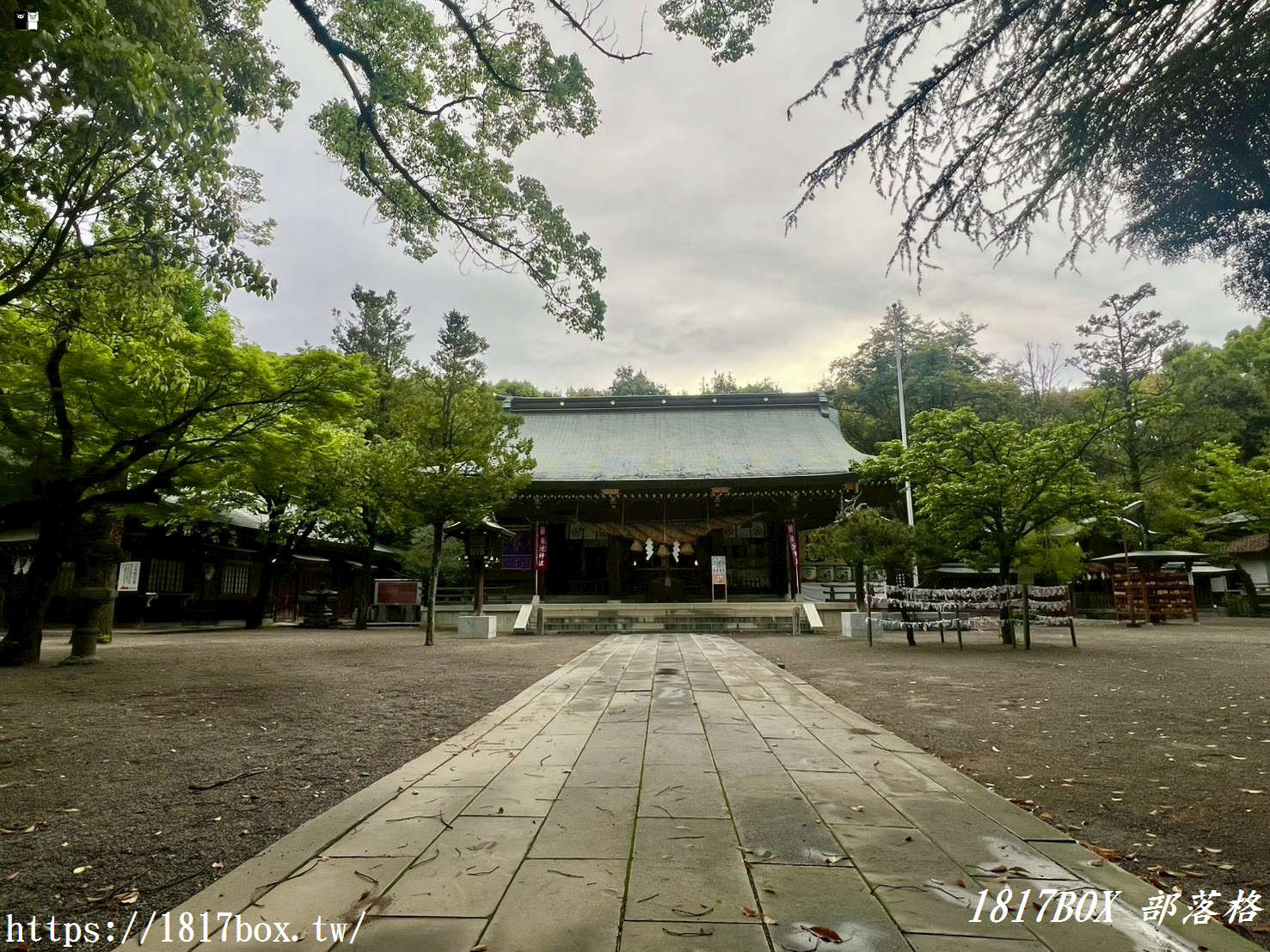 【熊本自由行】菊池神社全攻略：漫步歷史古道與春櫻名所，交通、祭神、私房景點不藏私指南！