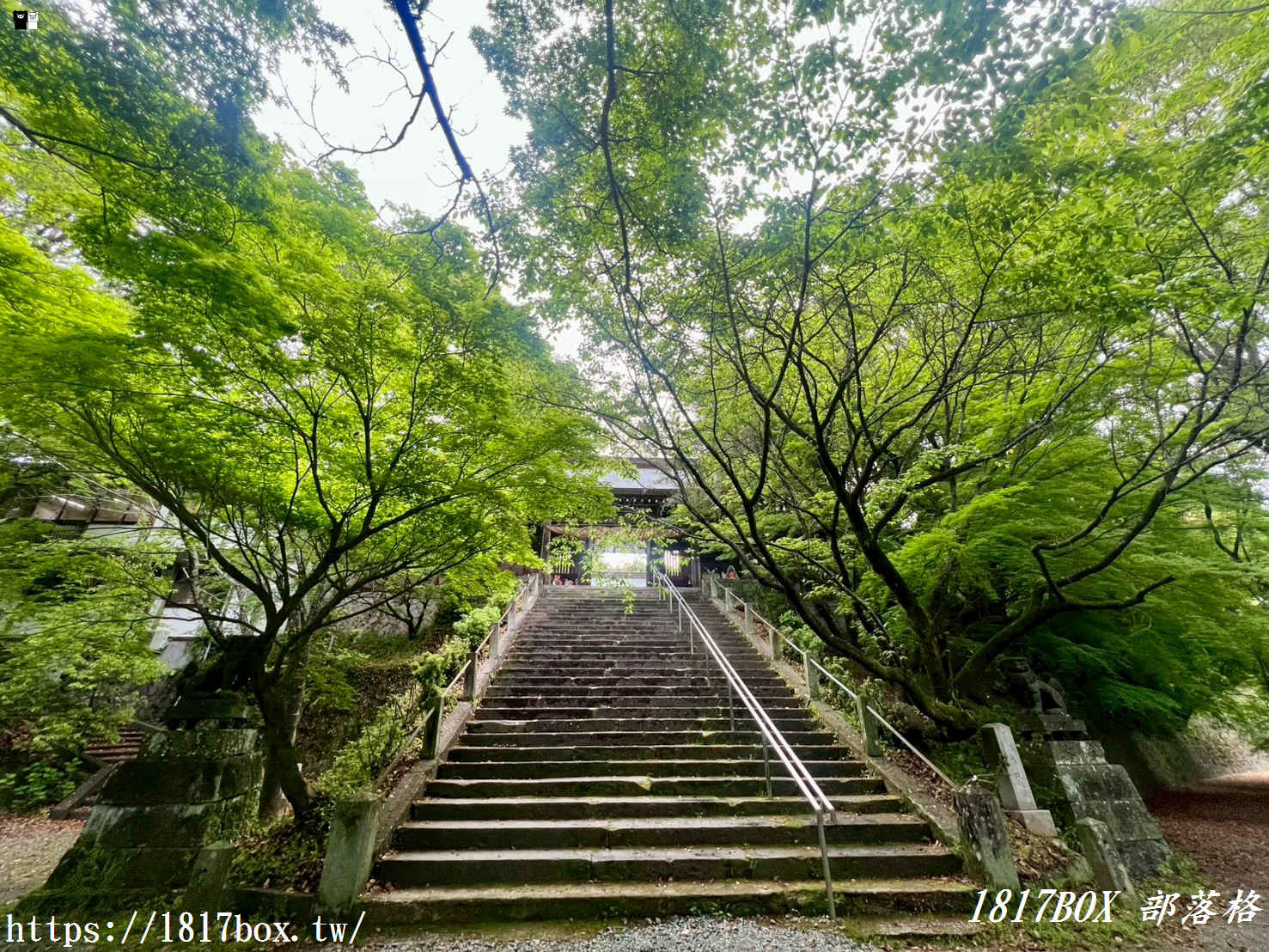 【熊本自由行】菊池神社全攻略：漫步歷史古道與春櫻名所，交通、祭神、私房景點不藏私指南！
