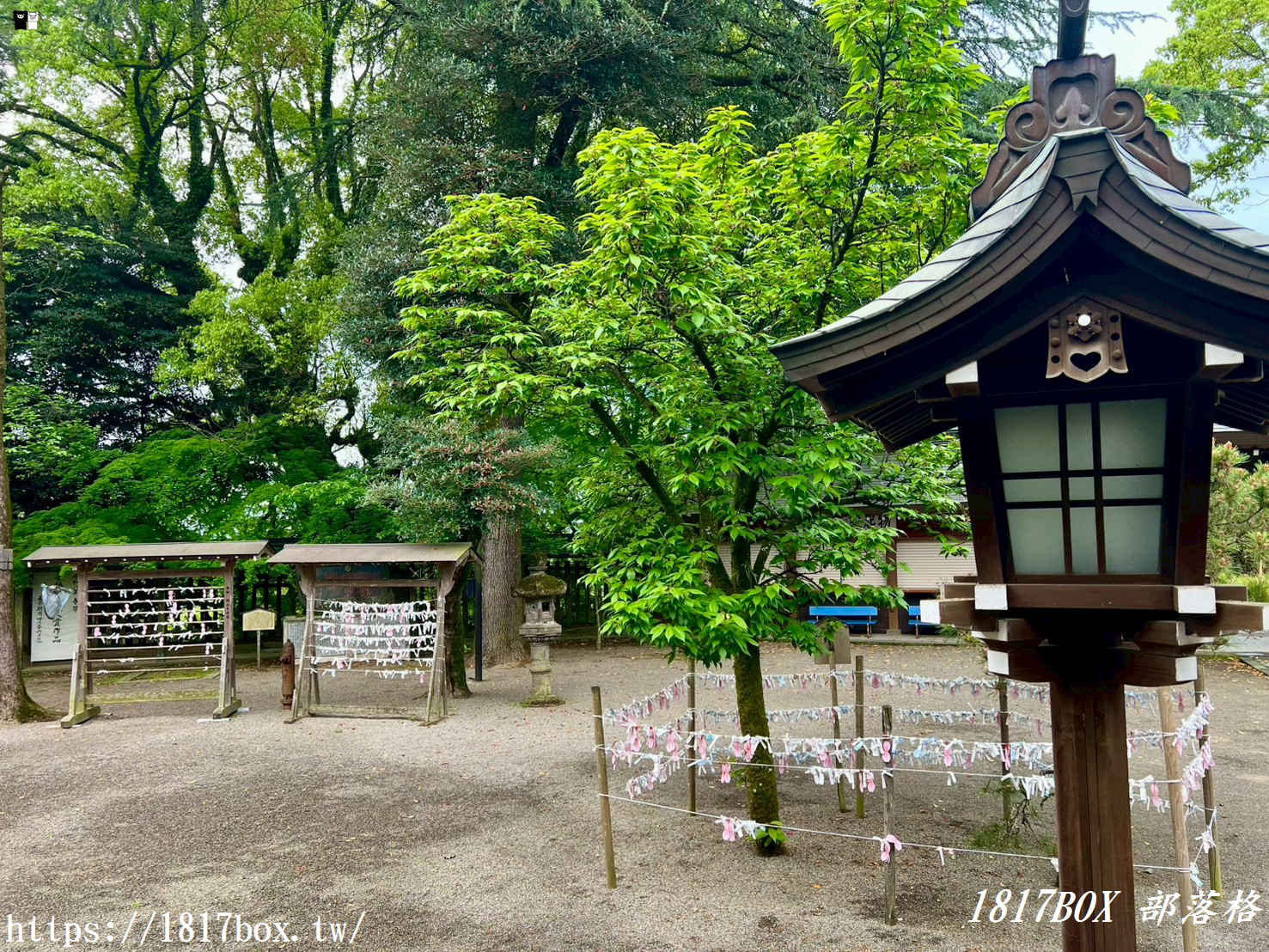 【熊本自由行】菊池神社全攻略：漫步歷史古道與春櫻名所，交通、祭神、私房景點不藏私指南！