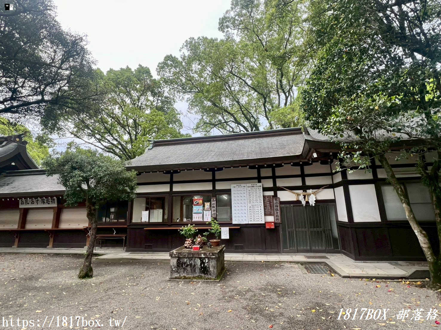 【熊本自由行】菊池神社全攻略：漫步歷史古道與春櫻名所，交通、祭神、私房景點不藏私指南！