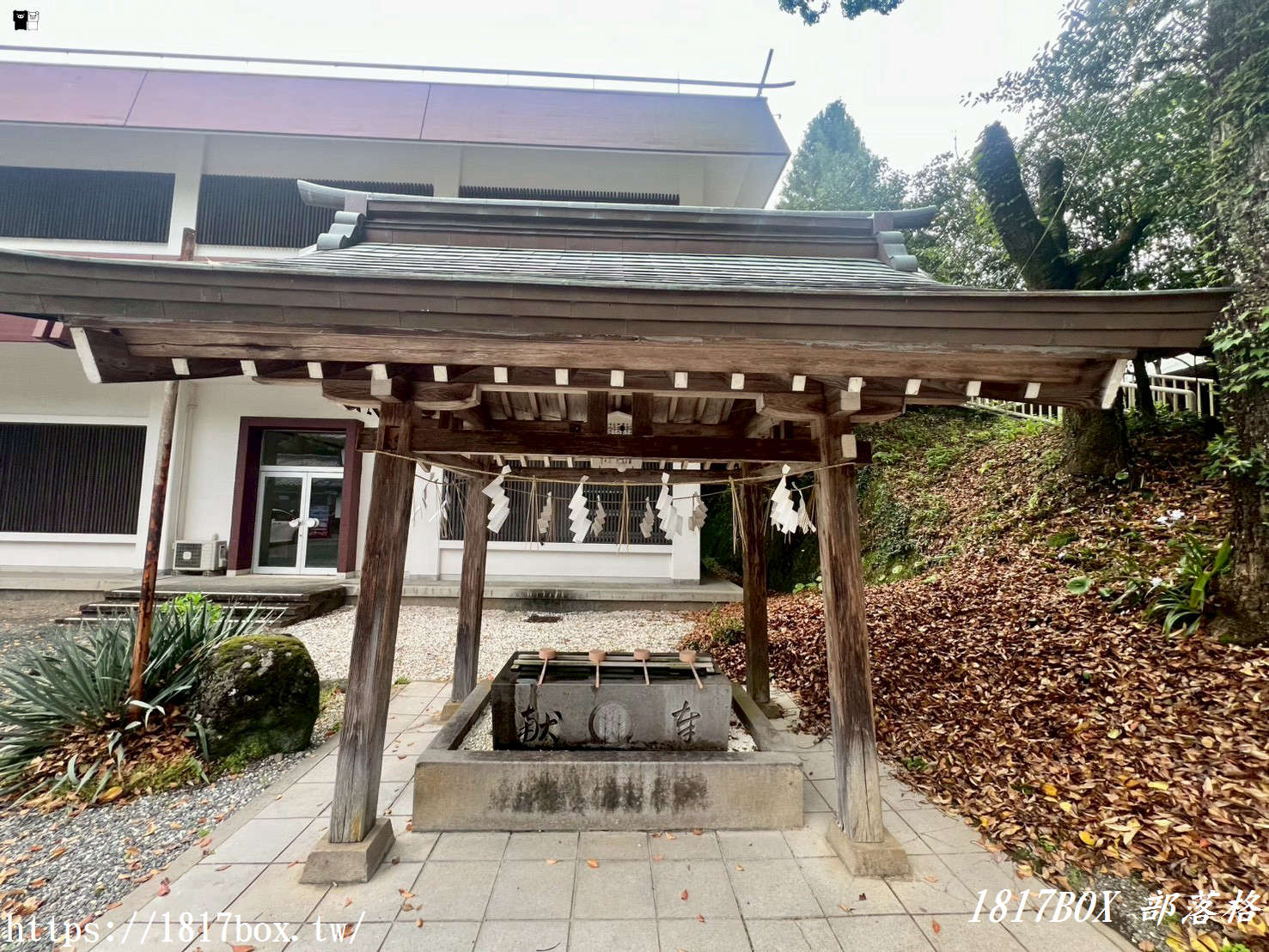 【熊本自由行】菊池神社全攻略：漫步歷史古道與春櫻名所，交通、祭神、私房景點不藏私指南！