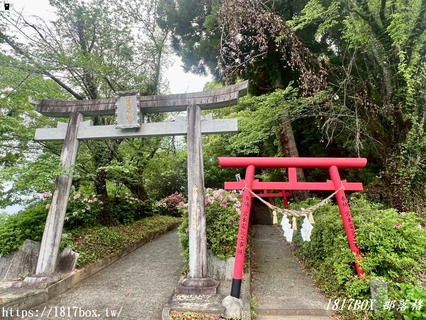 【熊本自由行】菊池神社全攻略：漫步歷史古道與春櫻名所，交通、祭神、私房景點不藏私指南！