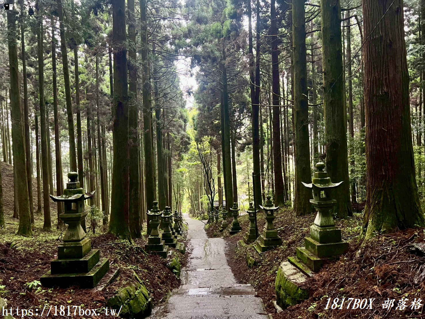【熊本秘境】走進動漫神隱世界！上色見熊野座神社一日遊：交通、巨石傳說與穿梭青苔鳥居的奇幻旅程