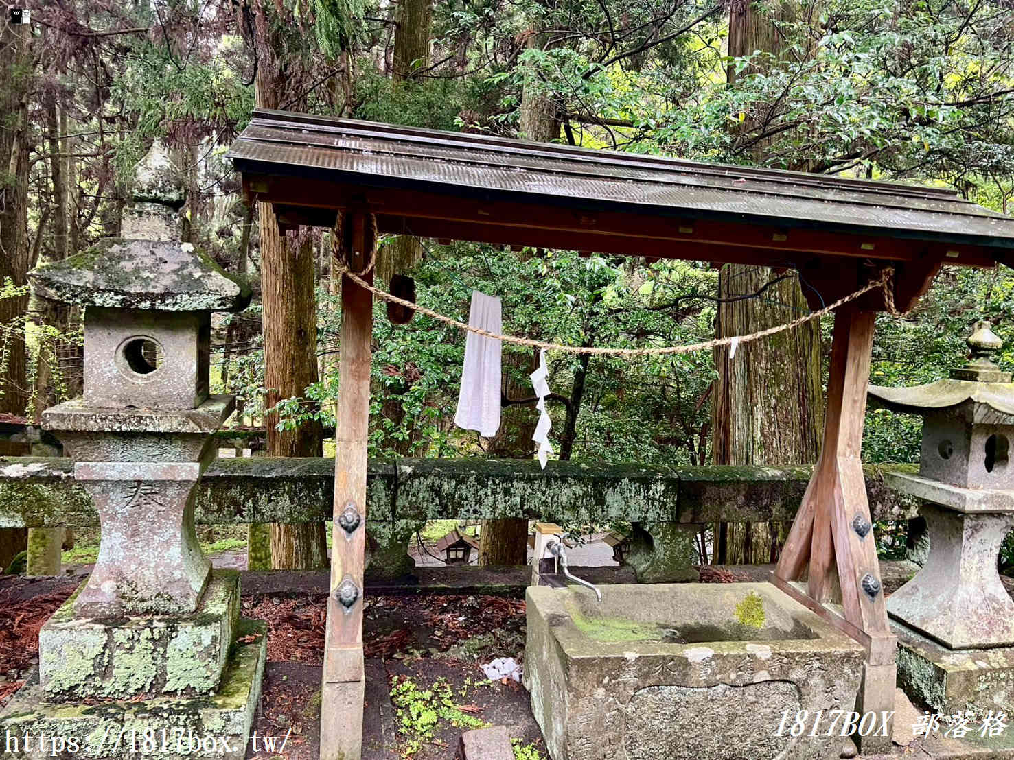 【熊本秘境】走進動漫神隱世界！上色見熊野座神社一日遊：交通、巨石傳說與穿梭青苔鳥居的奇幻旅程
