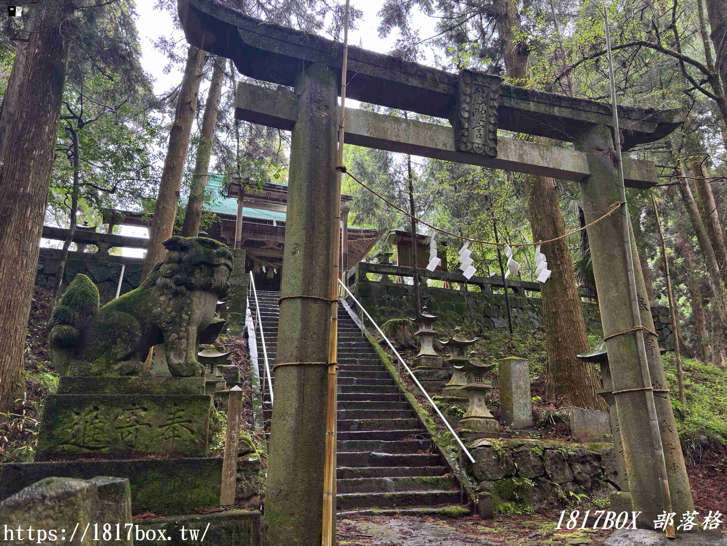 【熊本秘境】走進動漫神隱世界！上色見熊野座神社一日遊：交通、巨石傳說與穿梭青苔鳥居的奇幻旅程